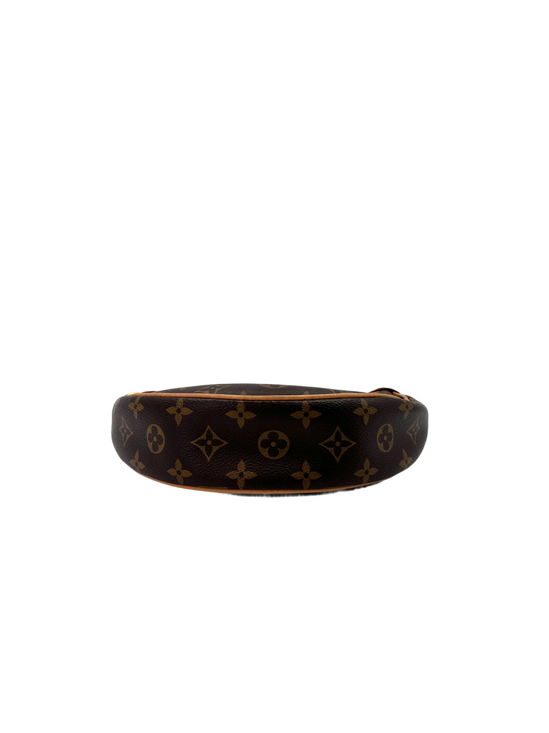 Louis Vuitton Loop Monogram Canvas Shoulder Bag LV2445