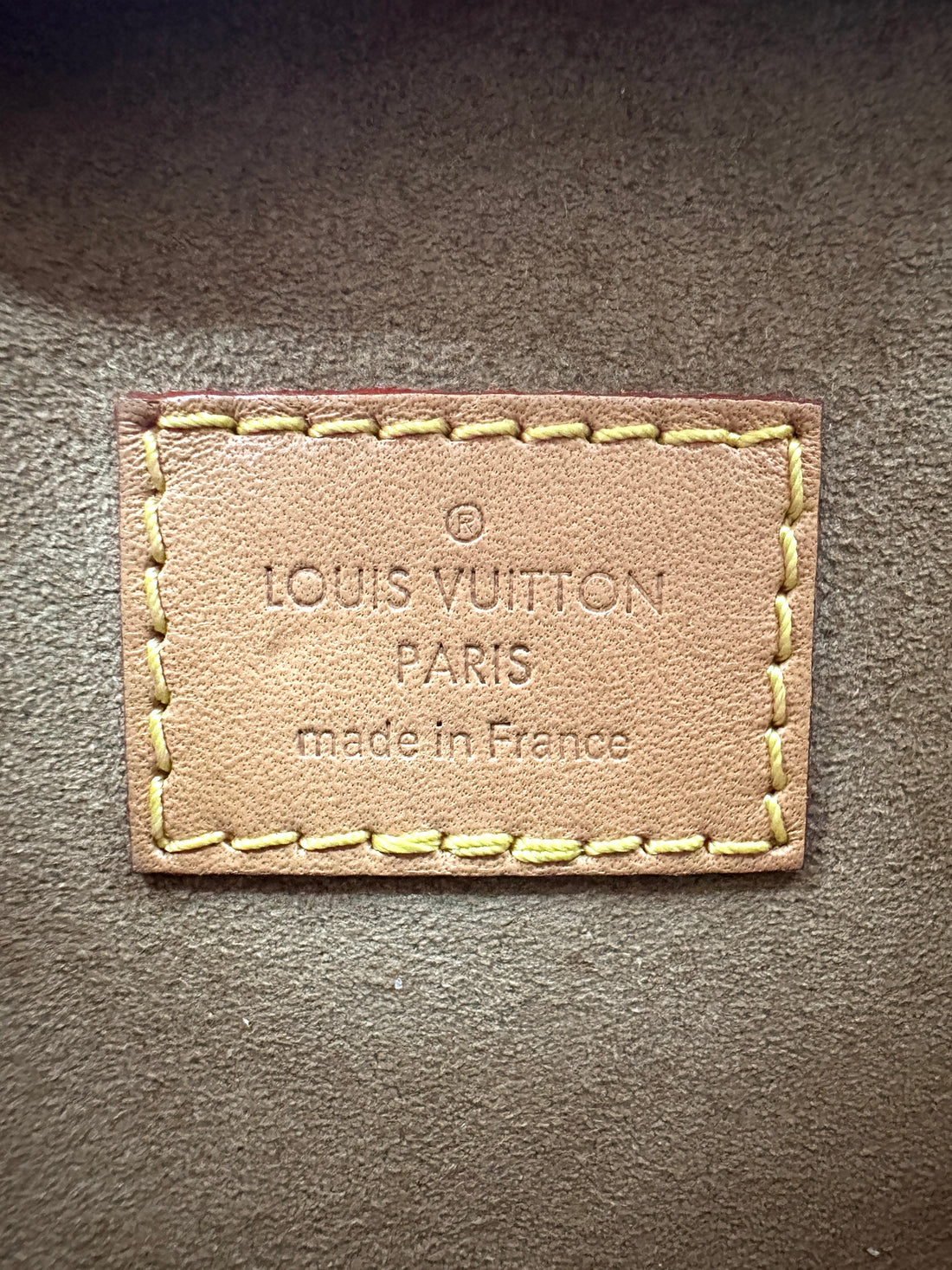 Louis Vuitton Loop Monogram Canvas Shoulder Bag LV2445