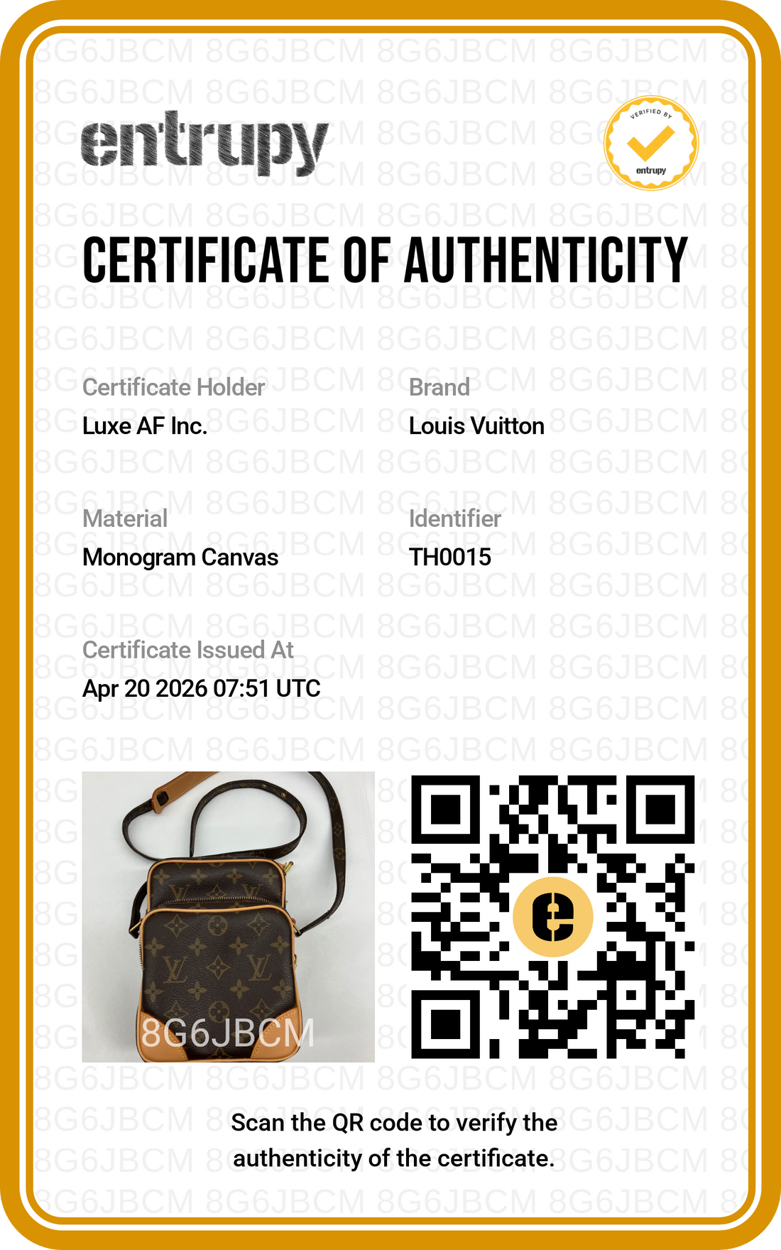 Louis Vuitton Amazone Monogram Canvas Shoulder Bag LV2454
