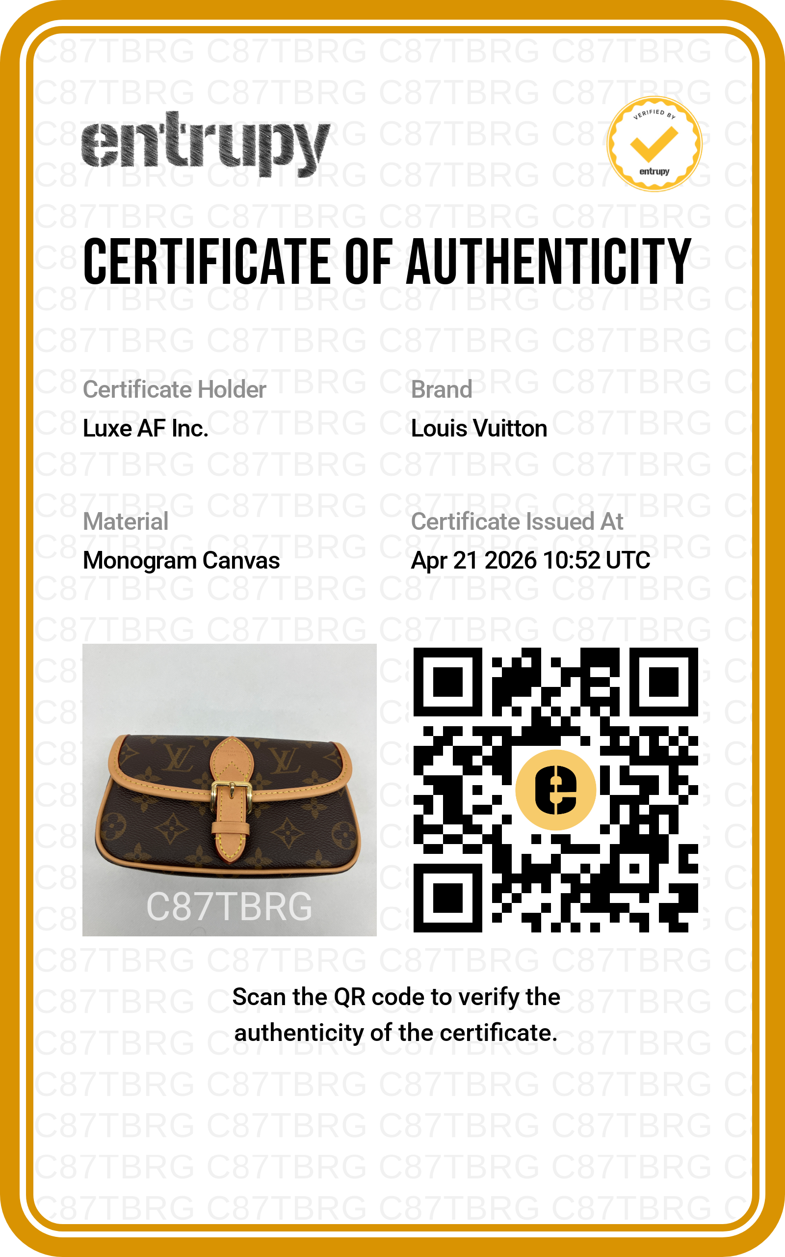 Louis Vuitton Nano Diane Monogram Canvas Shoulder Bag LV2456