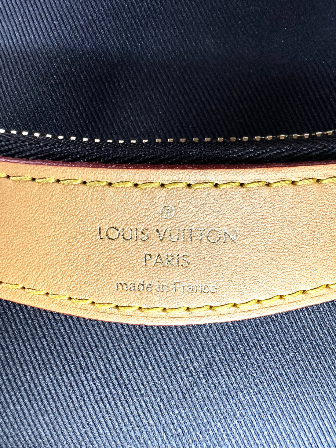 Louis Vuitton Diane Monogram Canvas Shoulder Bag LV2458
