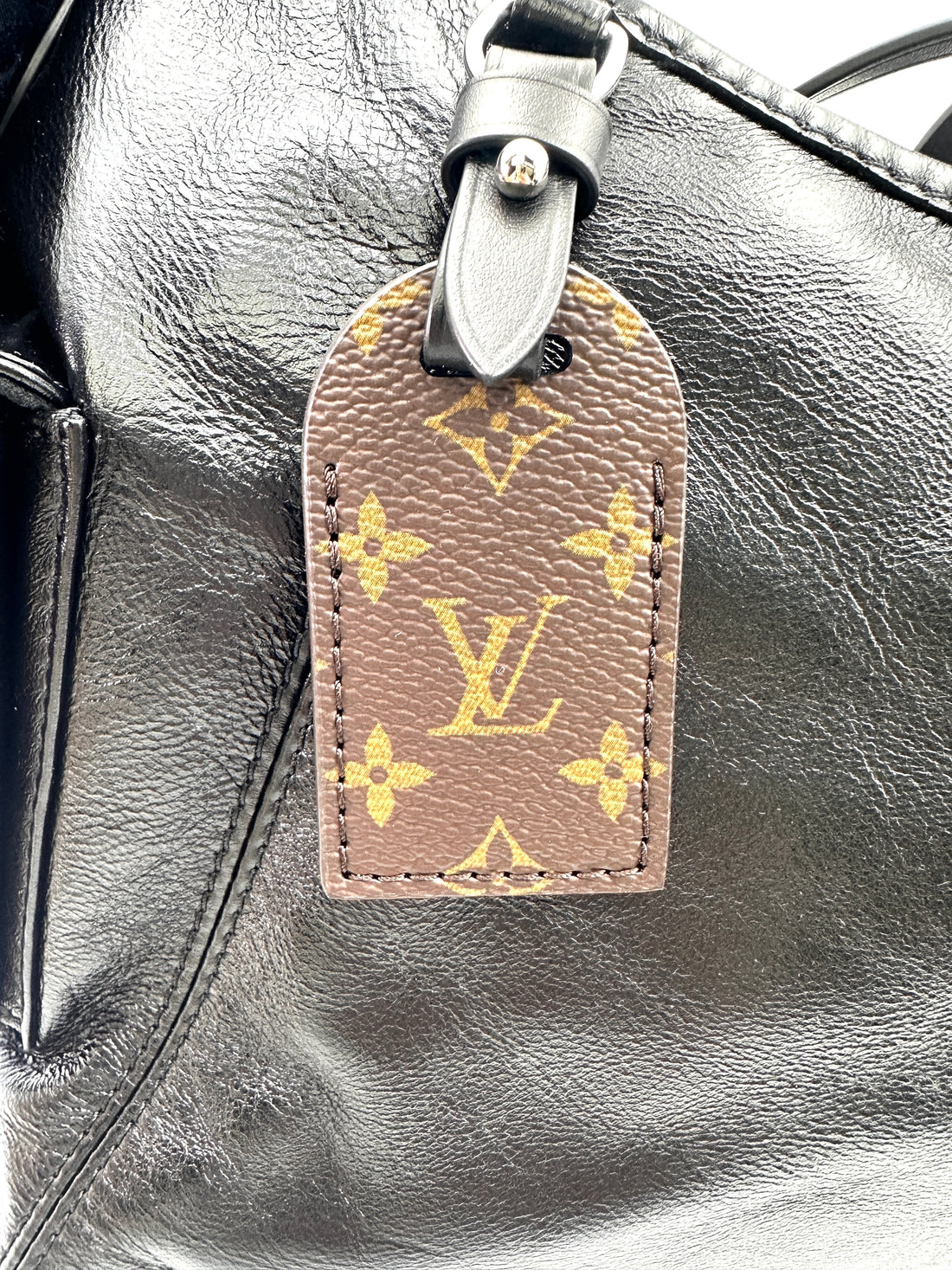 Louis Vuitton Carryall PM Black Lambksin Shoulder Bag LV2502
