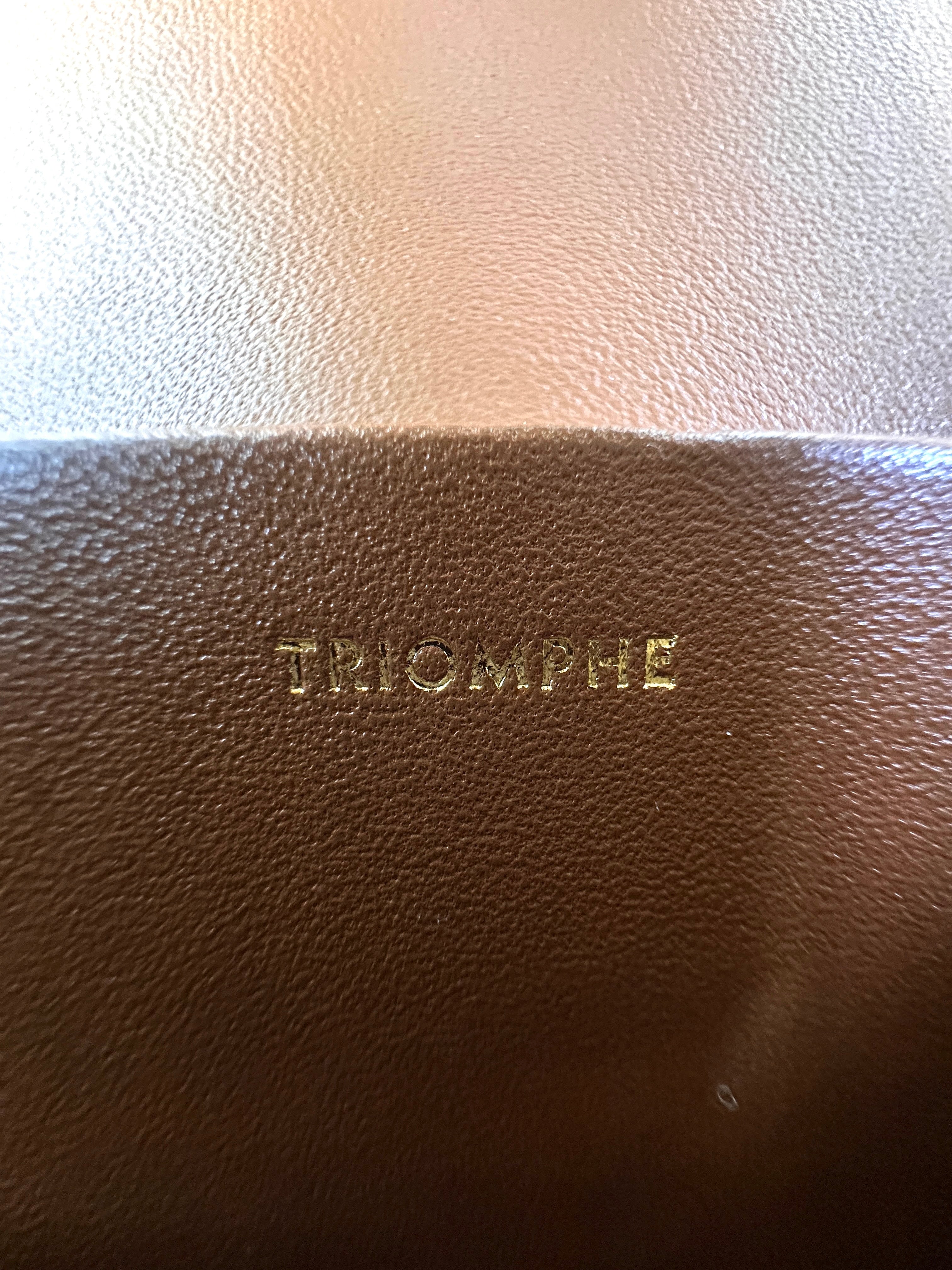 Celine Claude Triomphe Brown Canvas Shoulder Bag CEK260423