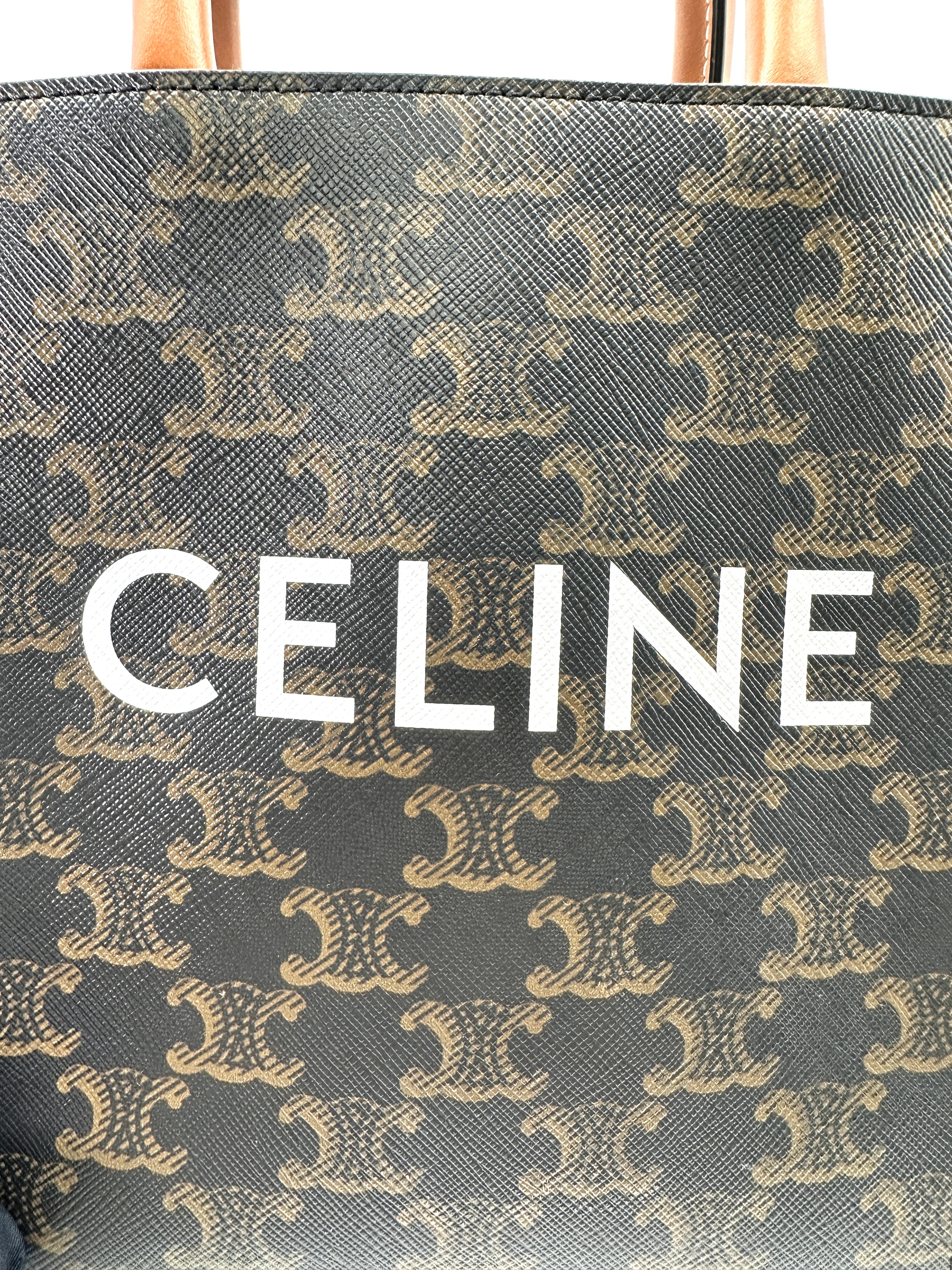 Celine Vertical Cabas Triomphe Canvas Handle Bag CEM260424