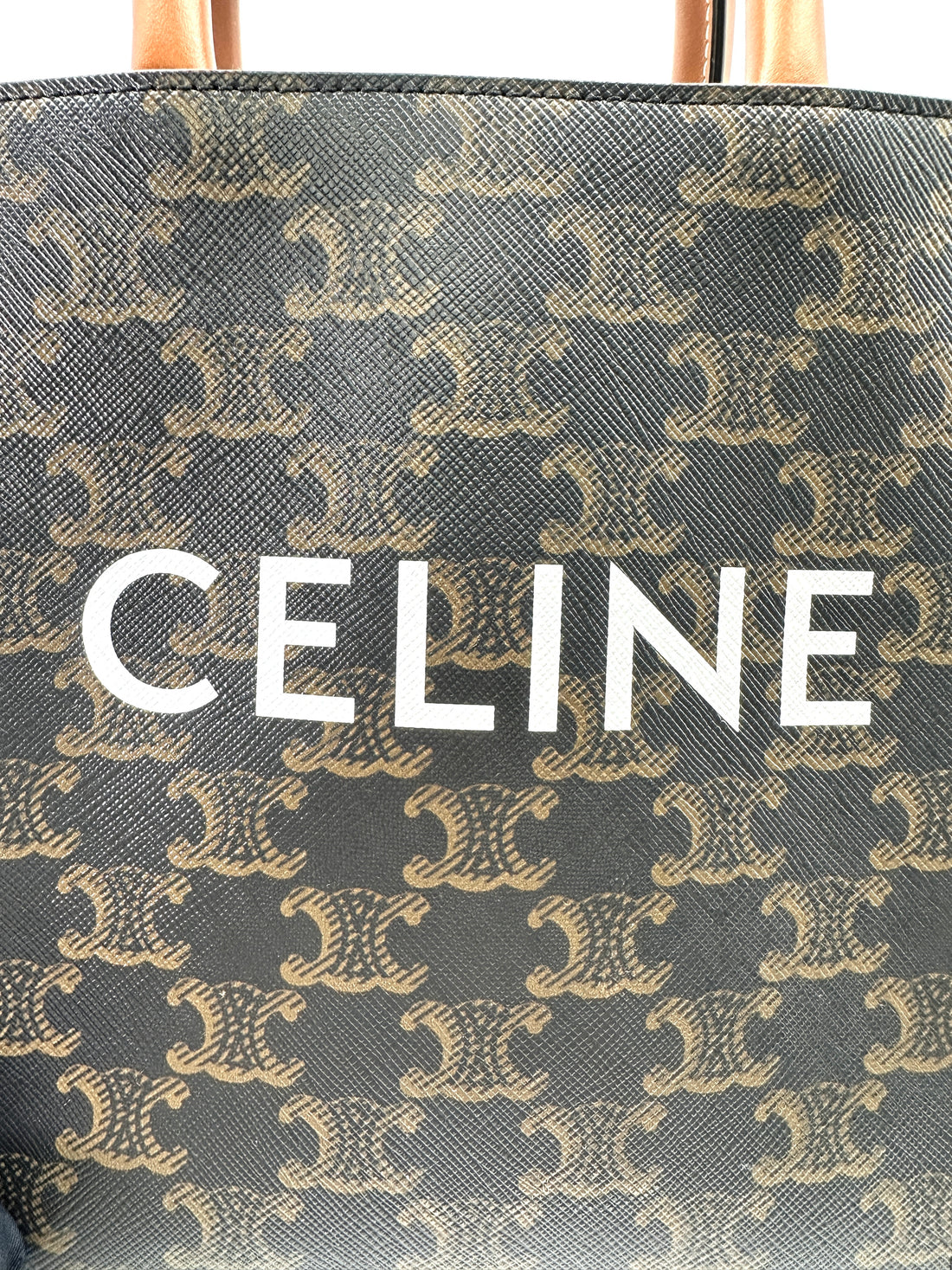 Celine Vertical Cabas Triomphe Canvas Handle Bag CEM260424