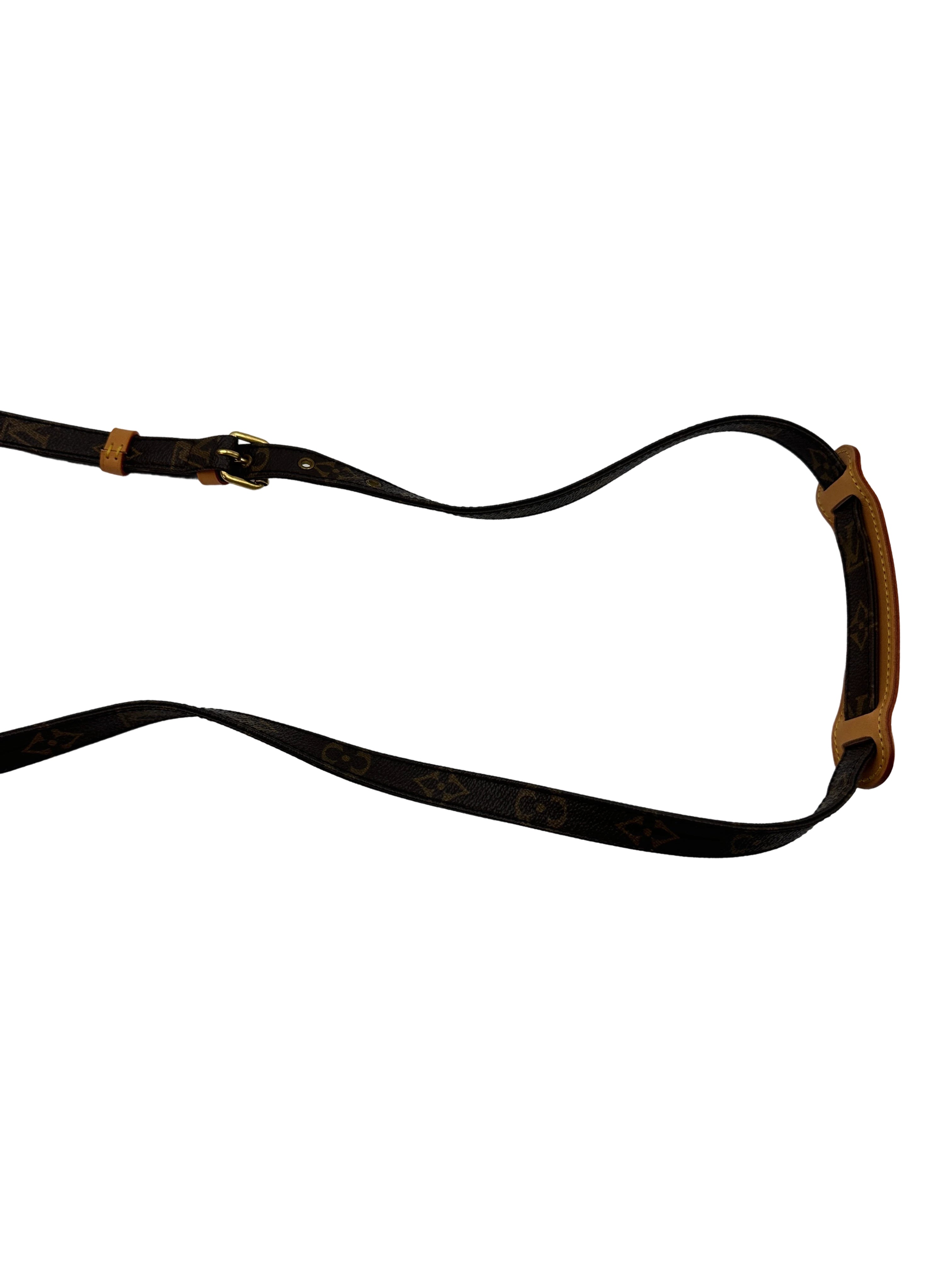 Louis Vuitton Amazone Monogram Canvas Shoulder Bag LV2473