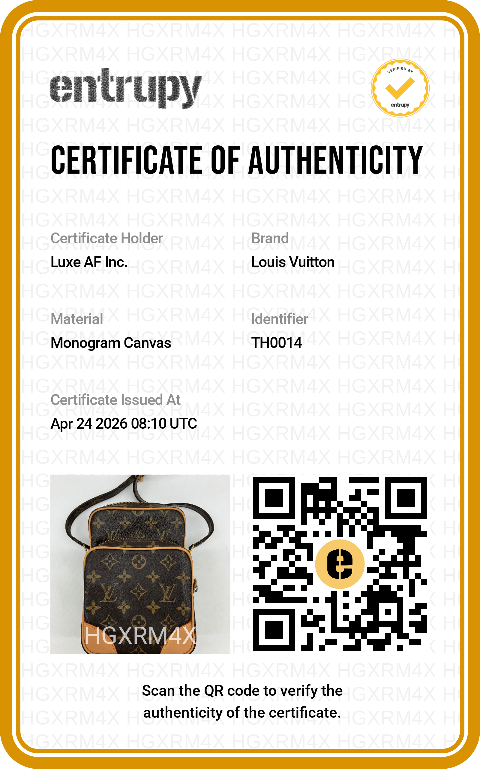 Louis Vuitton Amazone Monogram Canvas Shoulder Bag LV2501