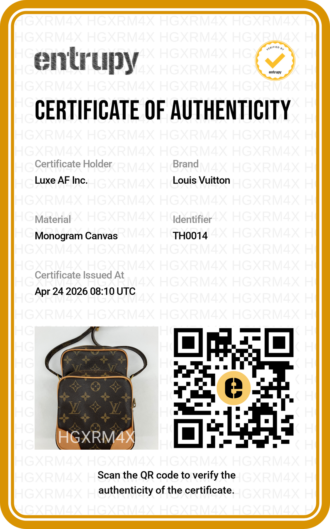 Louis Vuitton Amazone Monogram Canvas Shoulder Bag LV2501