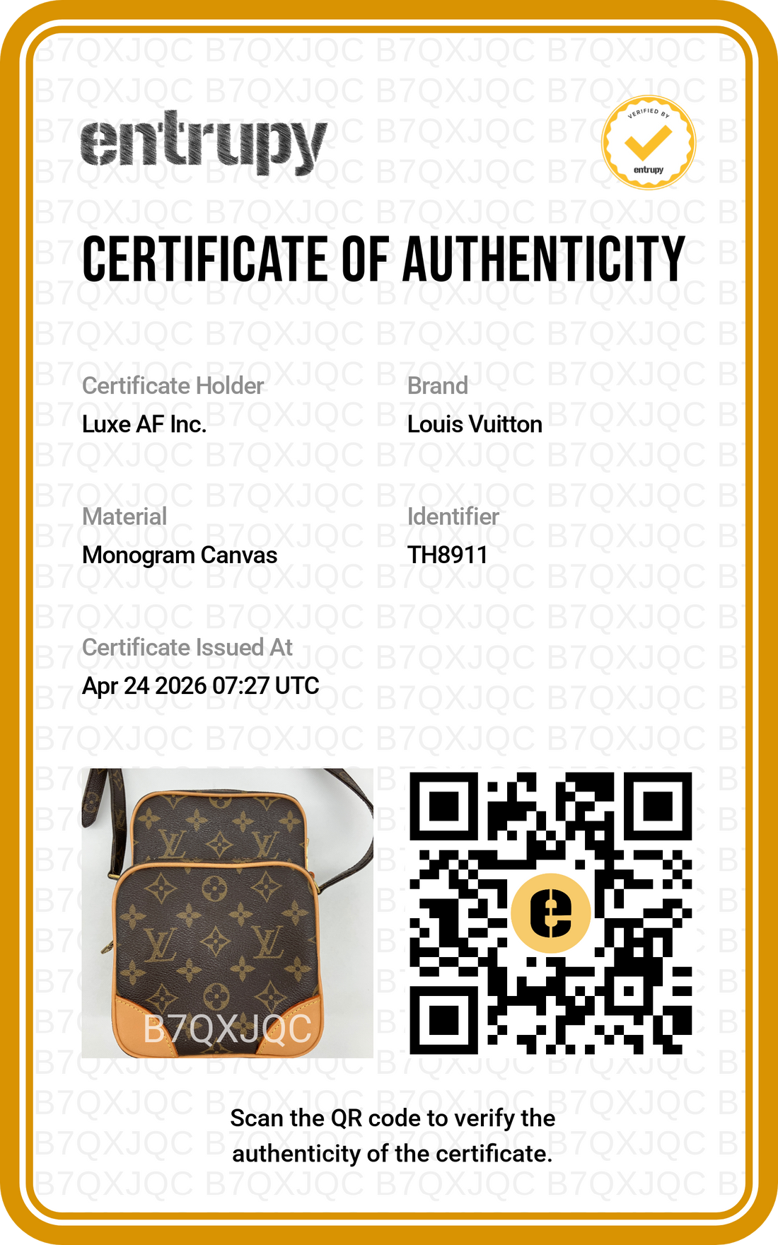 Louis Vuitton Amazone Monogram Canvas Shoulder Bag LV2473