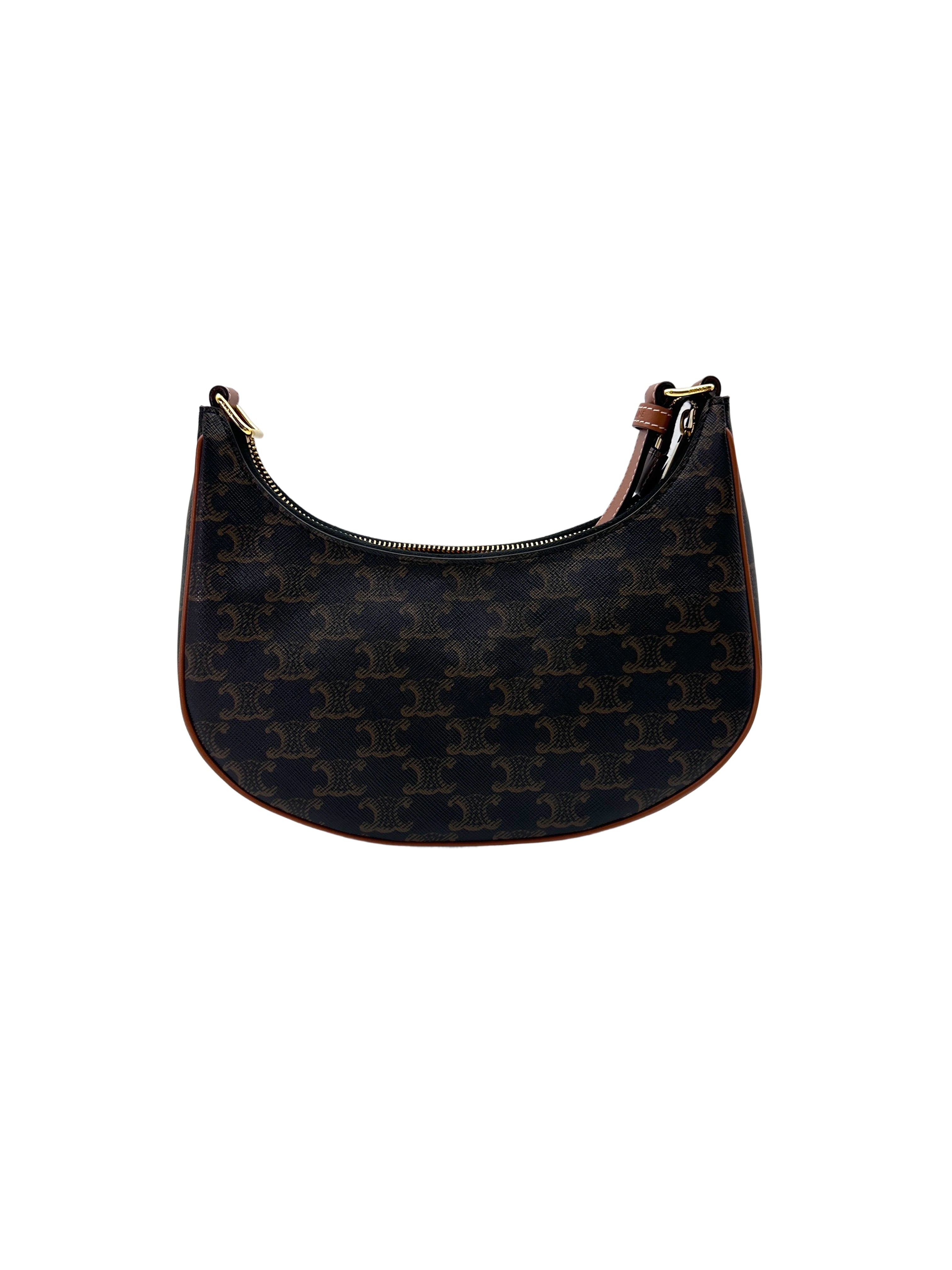 Celine Triomphe Canvas Ava Bag CE153