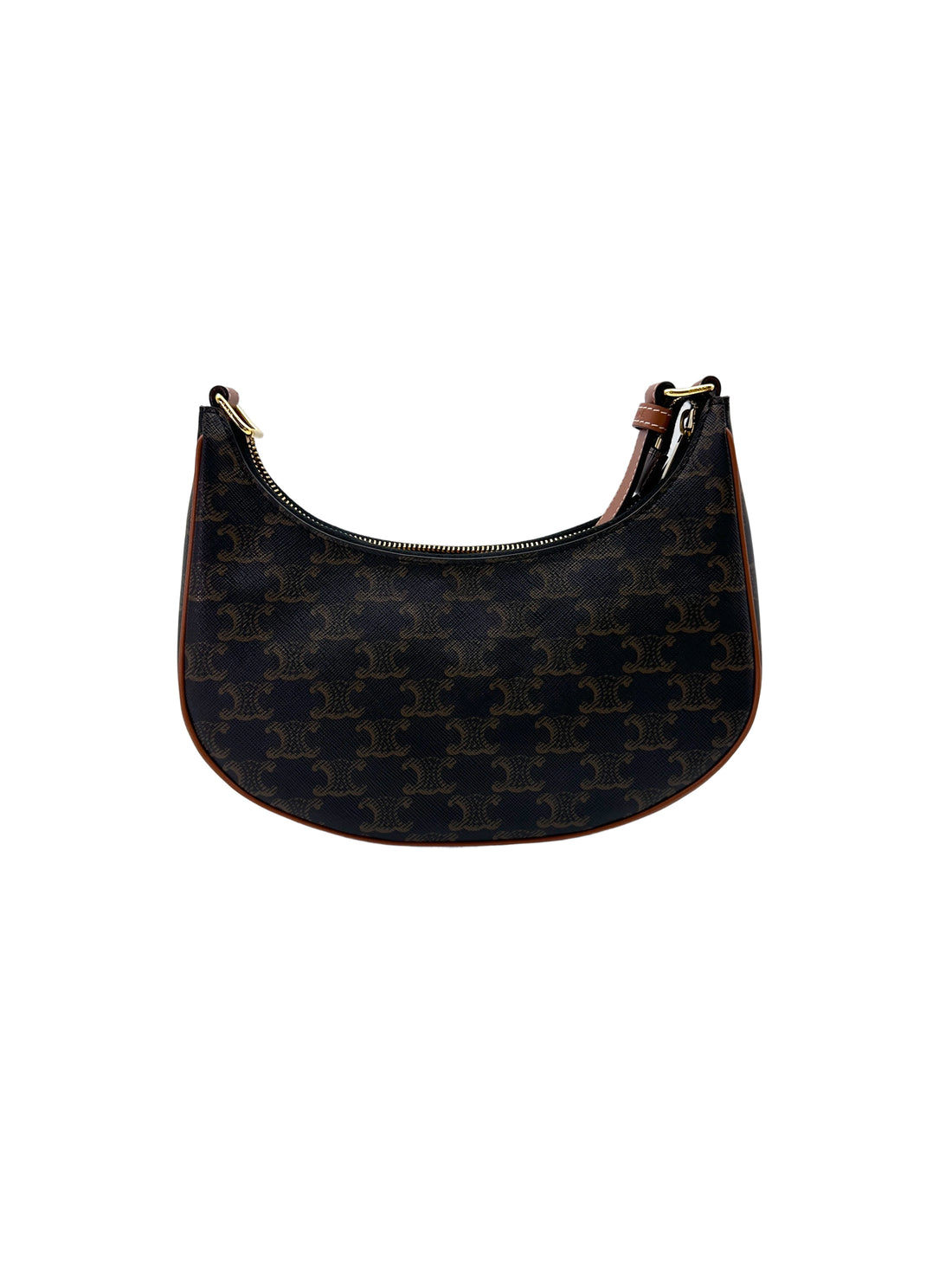 Celine Triomphe Canvas Ava Bag CE153