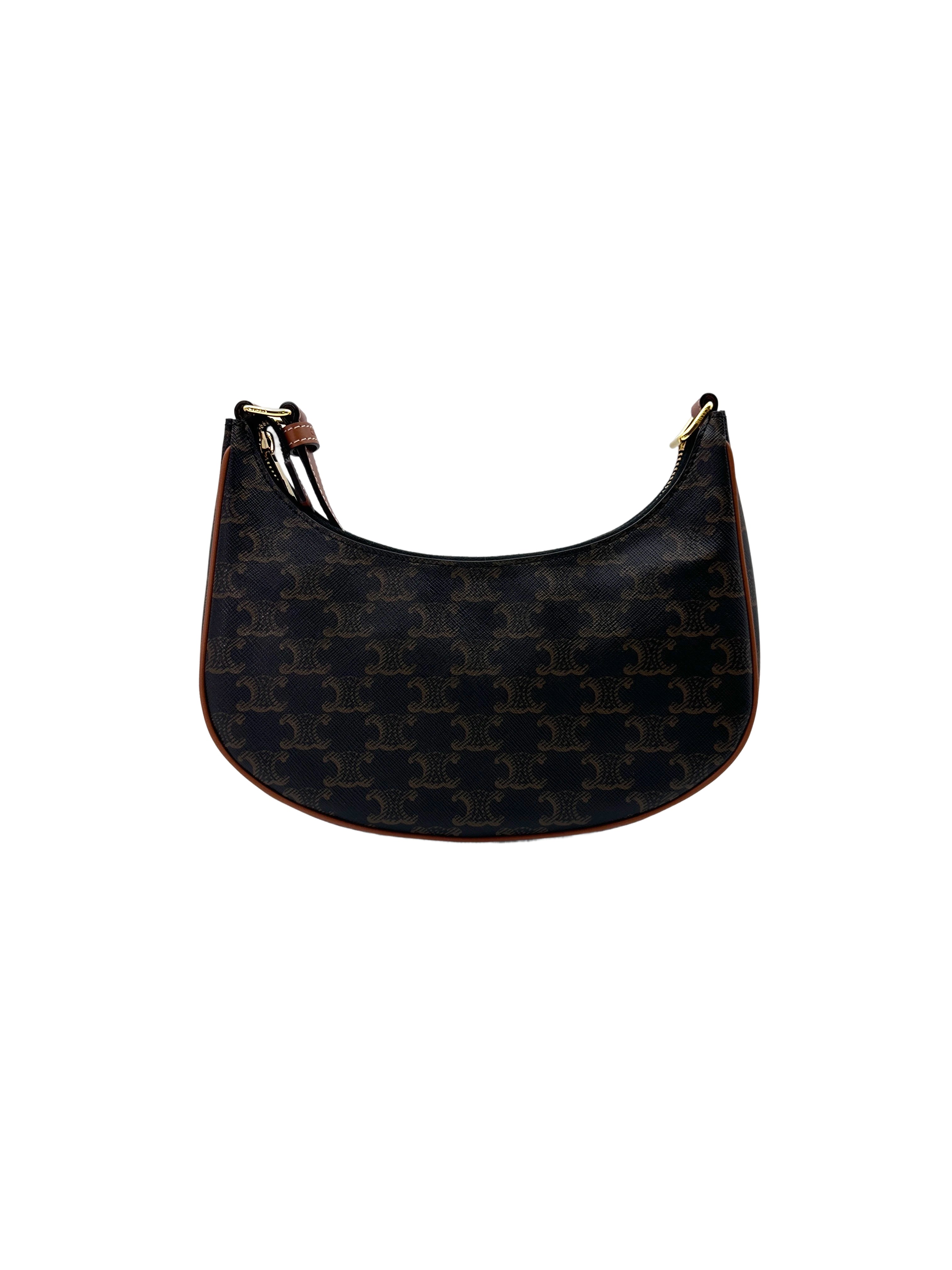 Celine Triomphe Canvas Ava Bag CE153