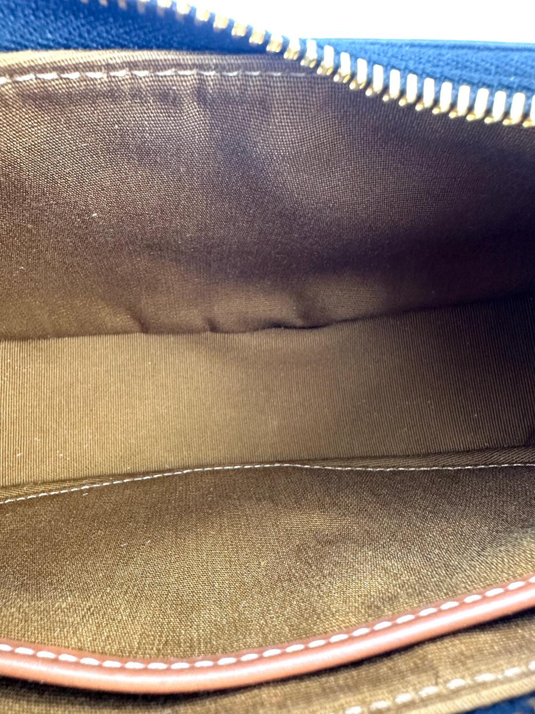 Celine Triomphe Canvas Ava Bag CE153