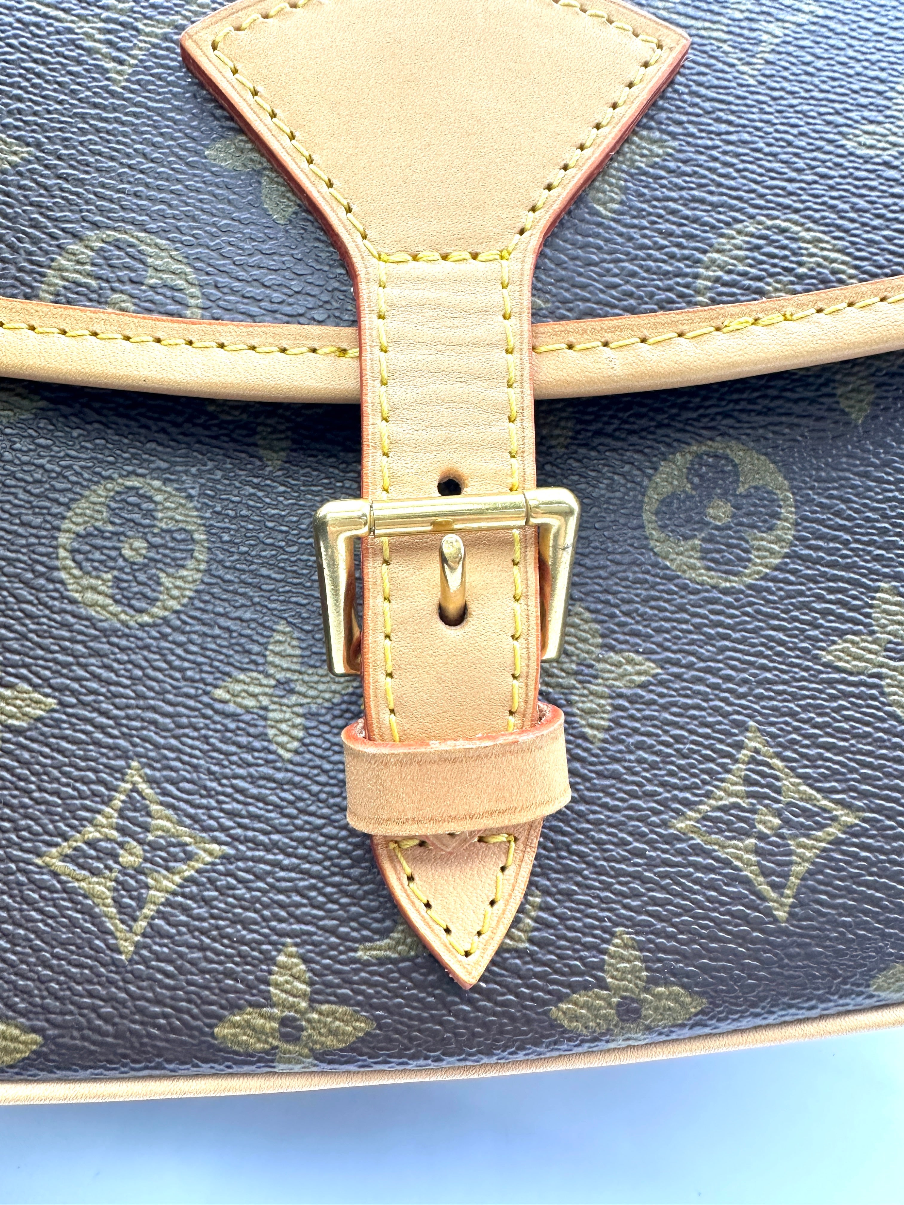 Louis Vuitton Sologne Monogram Canvas Shoulder Bag LV2490