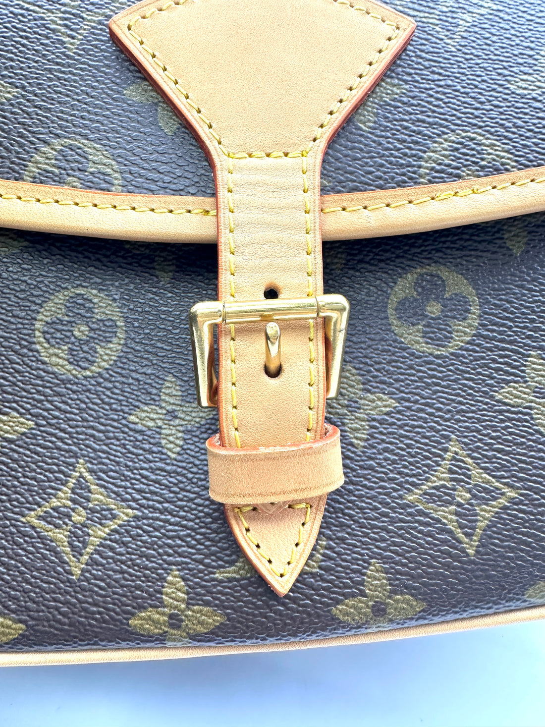 Louis Vuitton Sologne Monogram Canvas Shoulder Bag LV2490