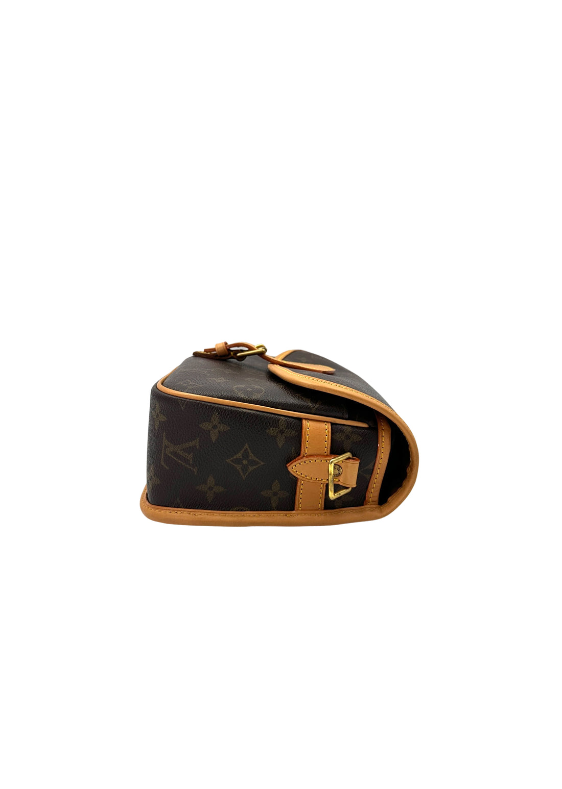 Louis Vuitton Sologne Monogram Canvas Shoulder Bag LV2495