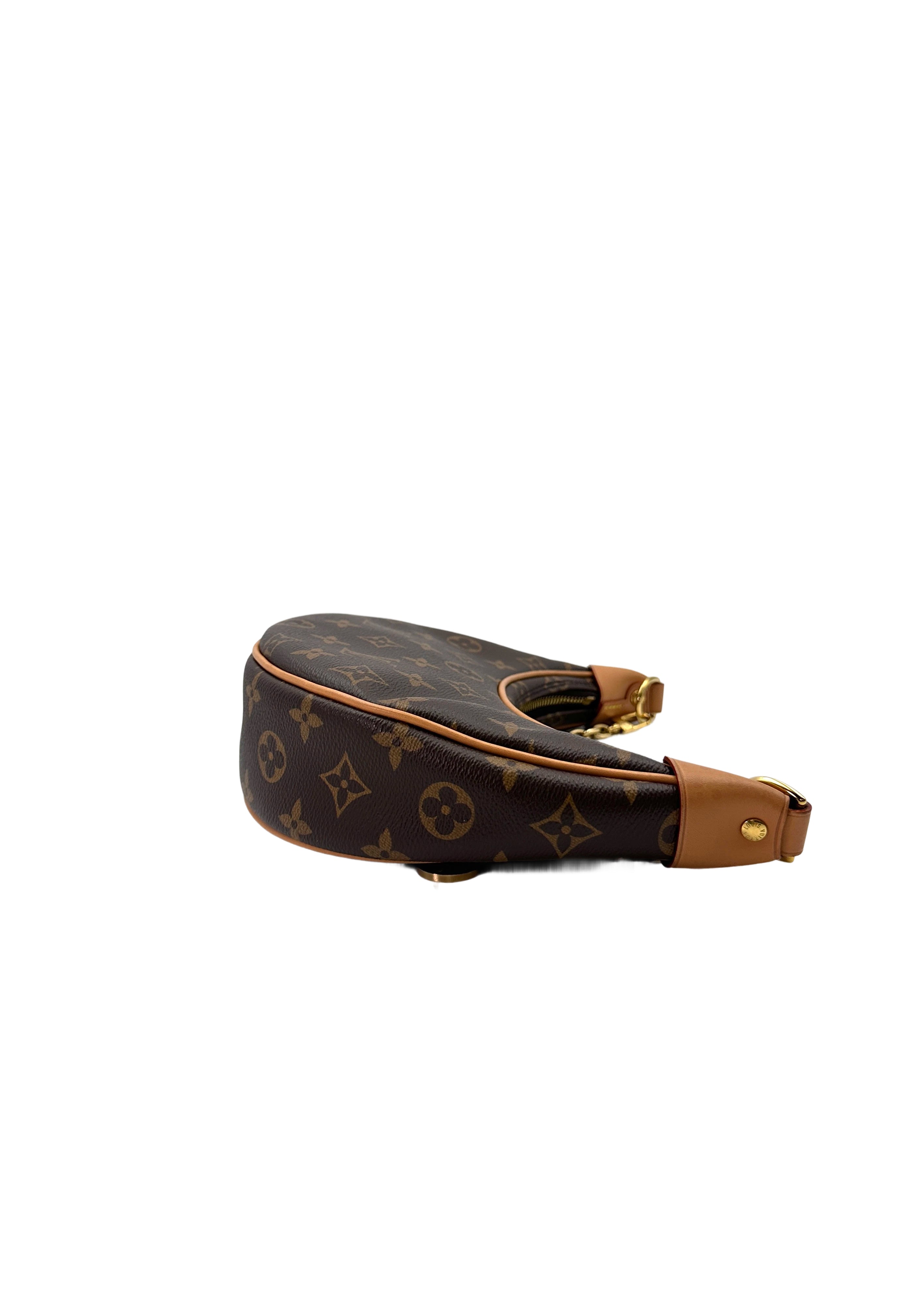 Louis Vuitton Loop Monogram Canvas Shoulder Bag LV2509