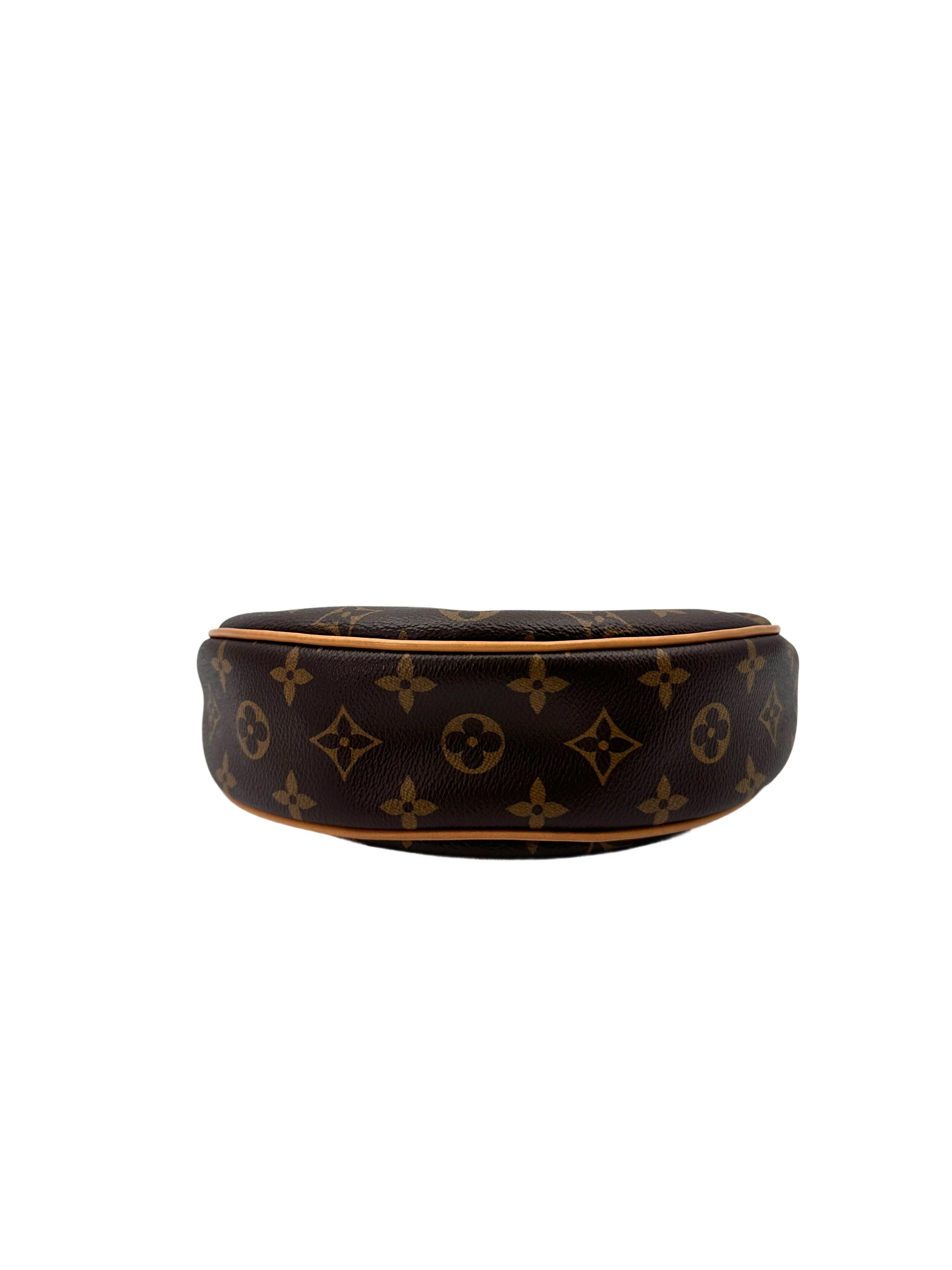Louis Vuitton Loop Monogram Canvas Shoulder Bag LV2509