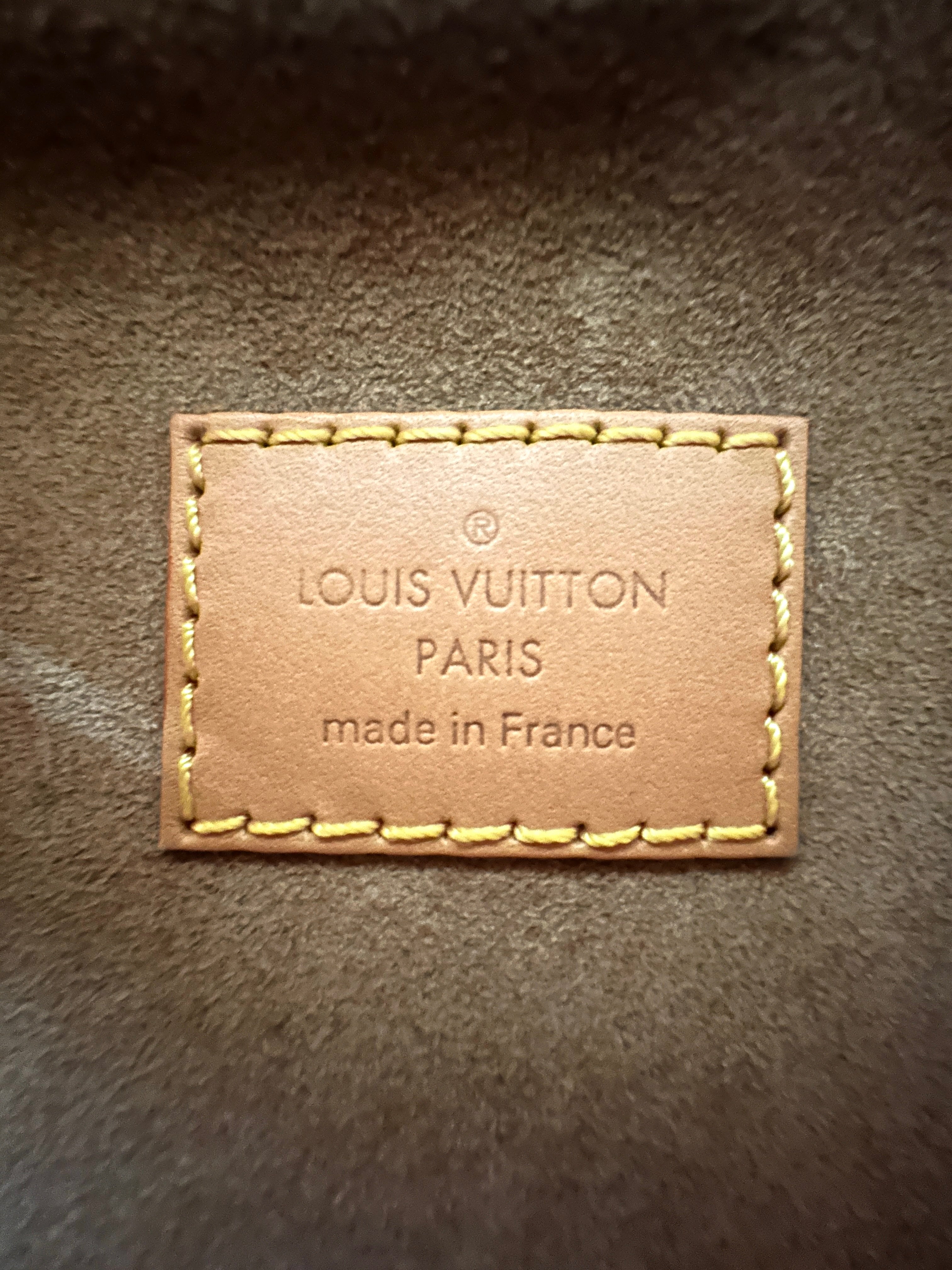 Louis Vuitton Loop Monogram Canvas Shoulder Bag LV2509