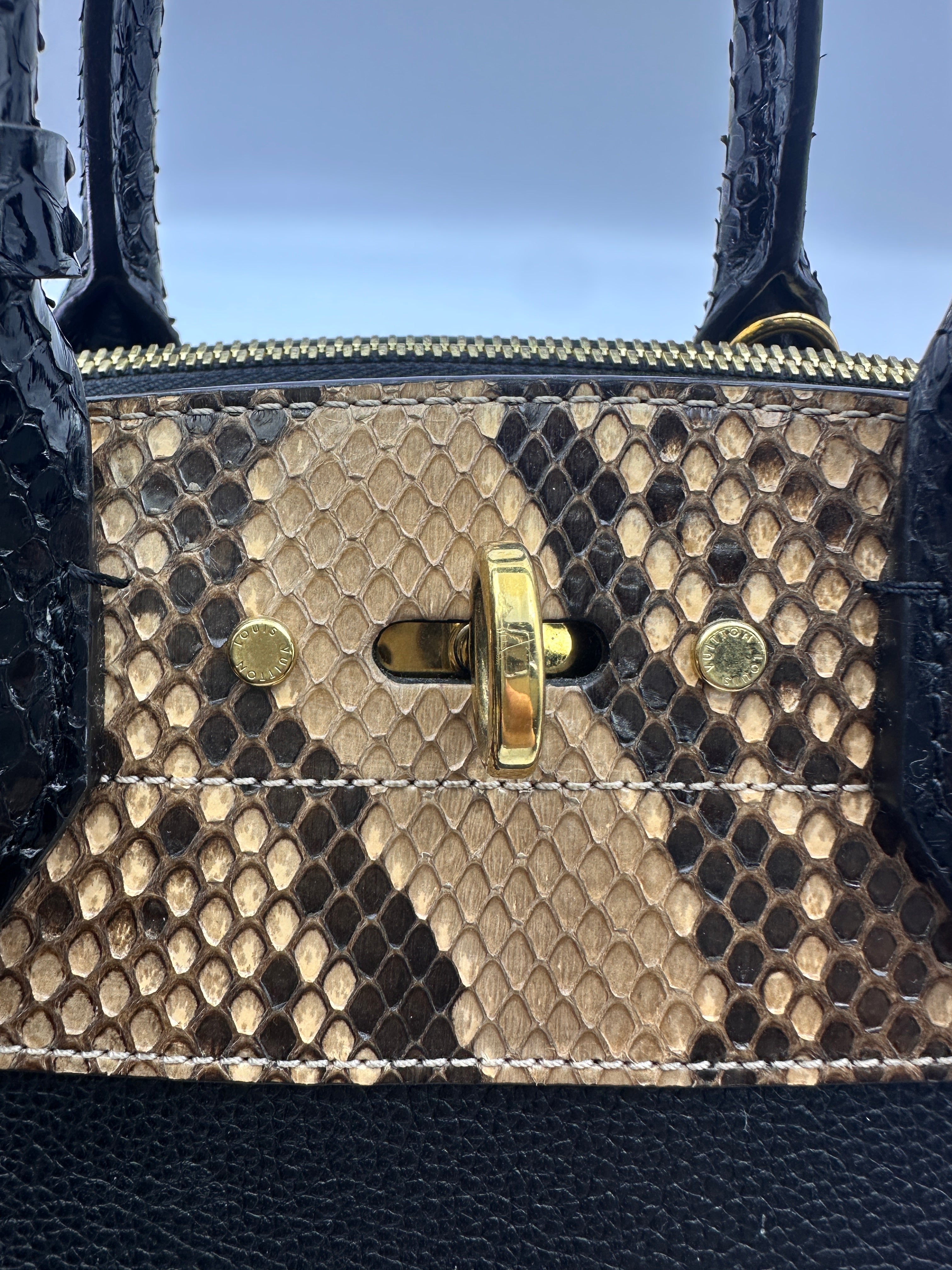 Louis Vuitton City Steamer Python & Black Grained Leather Handle Bag LV2522