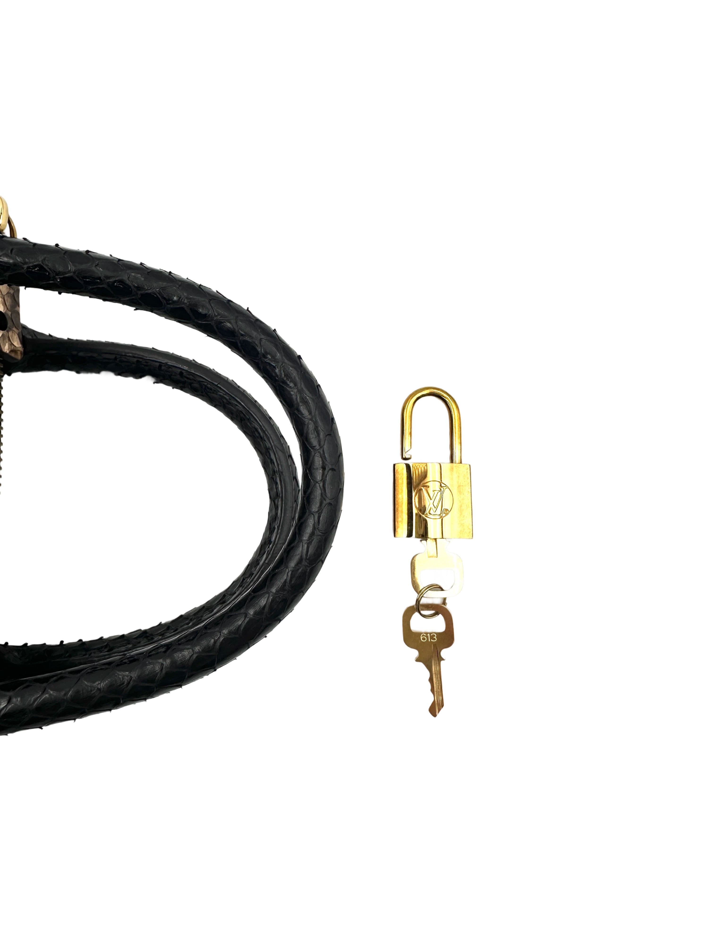 Louis Vuitton City Steamer Python & Black Grained Leather Handle Bag LV2522