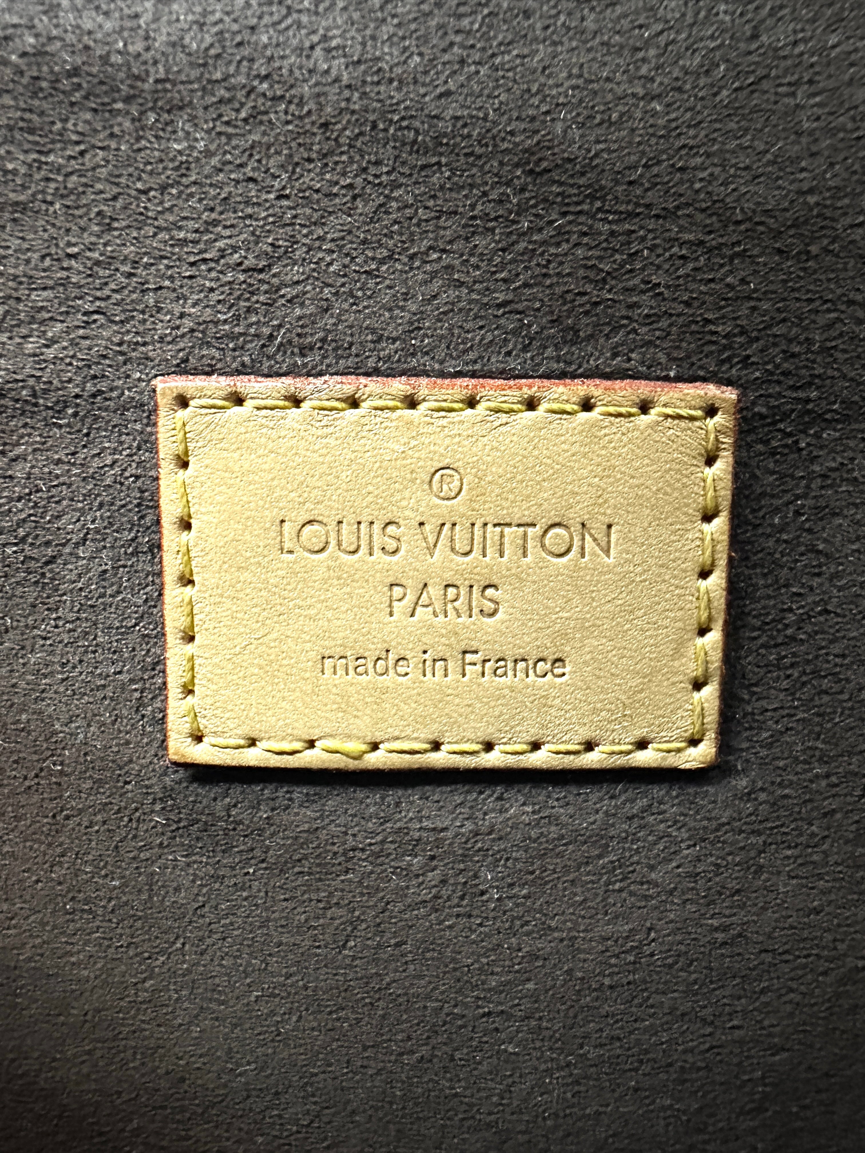 Louis Vuitton Monogram Canvas Pochette Accessoires LV2541