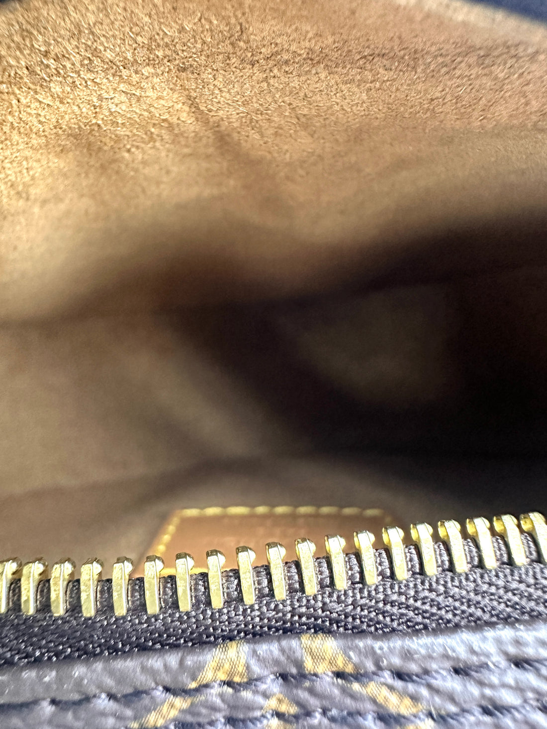 Louis Vuitton Loop Monogram Canvas Shoulder Bag LV2552