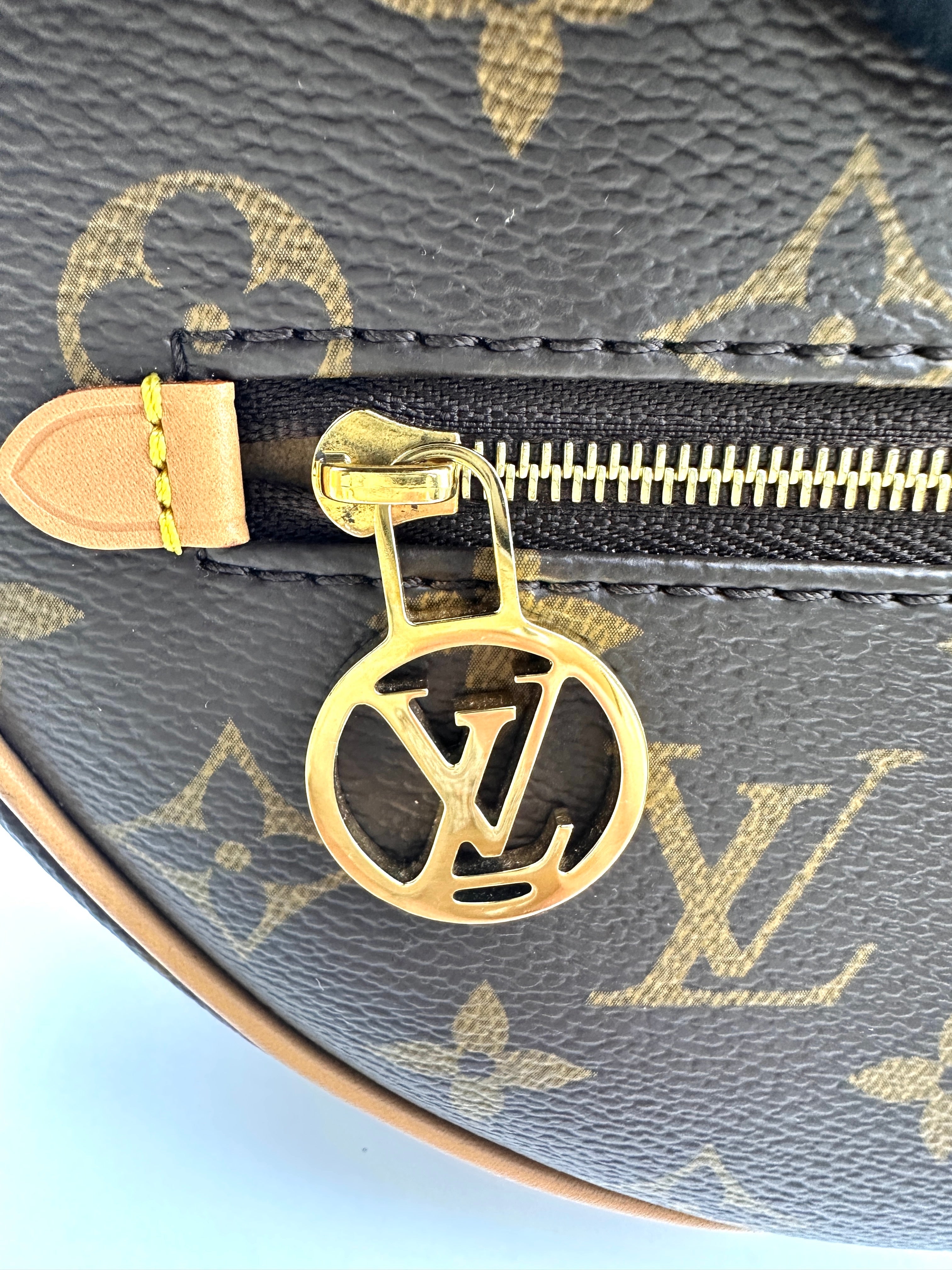 Louis Vuitton Loop Monogram Canvas Shoulder Bag LV2552