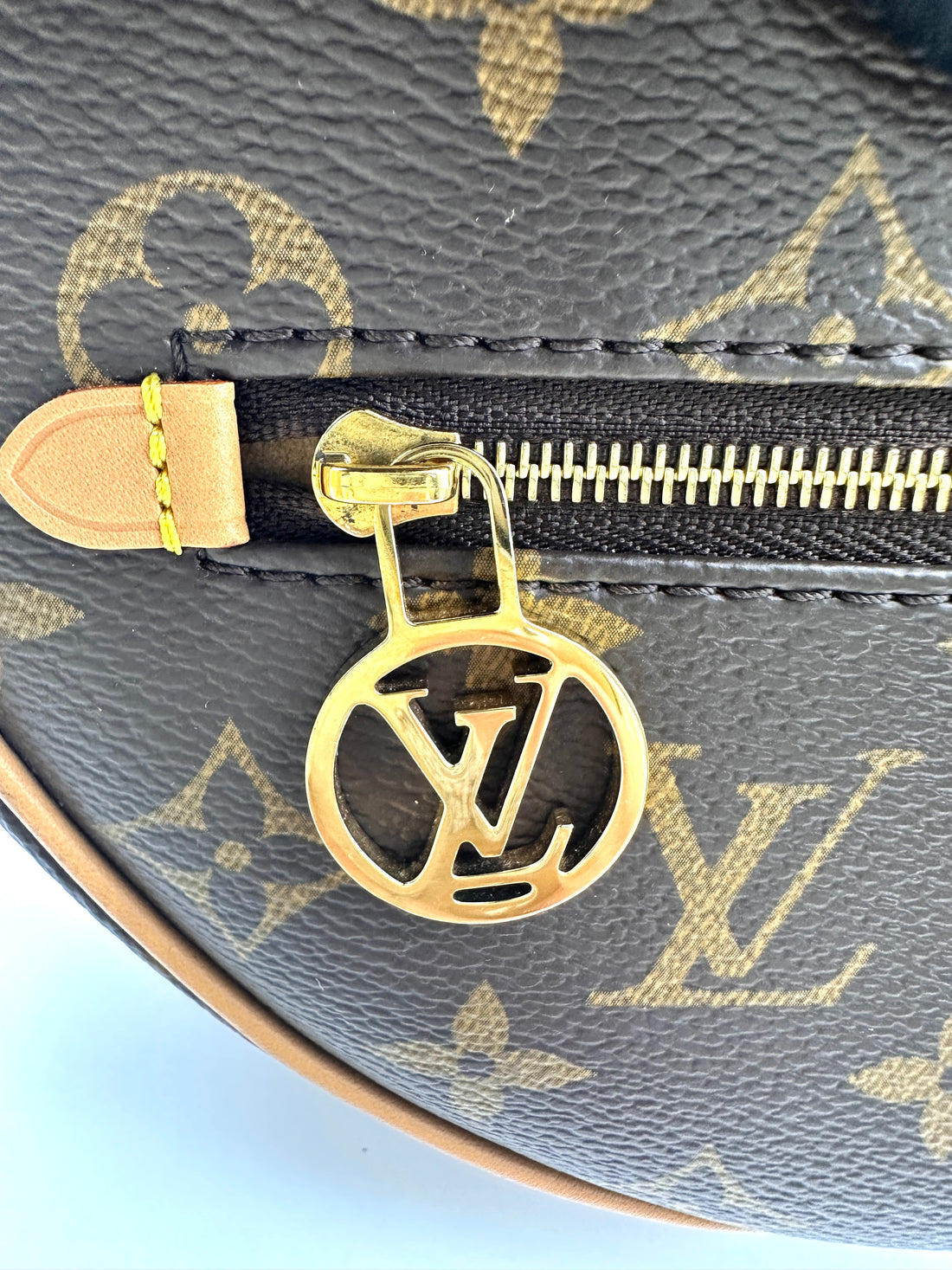 Louis Vuitton Loop Monogram Canvas Shoulder Bag LV2552