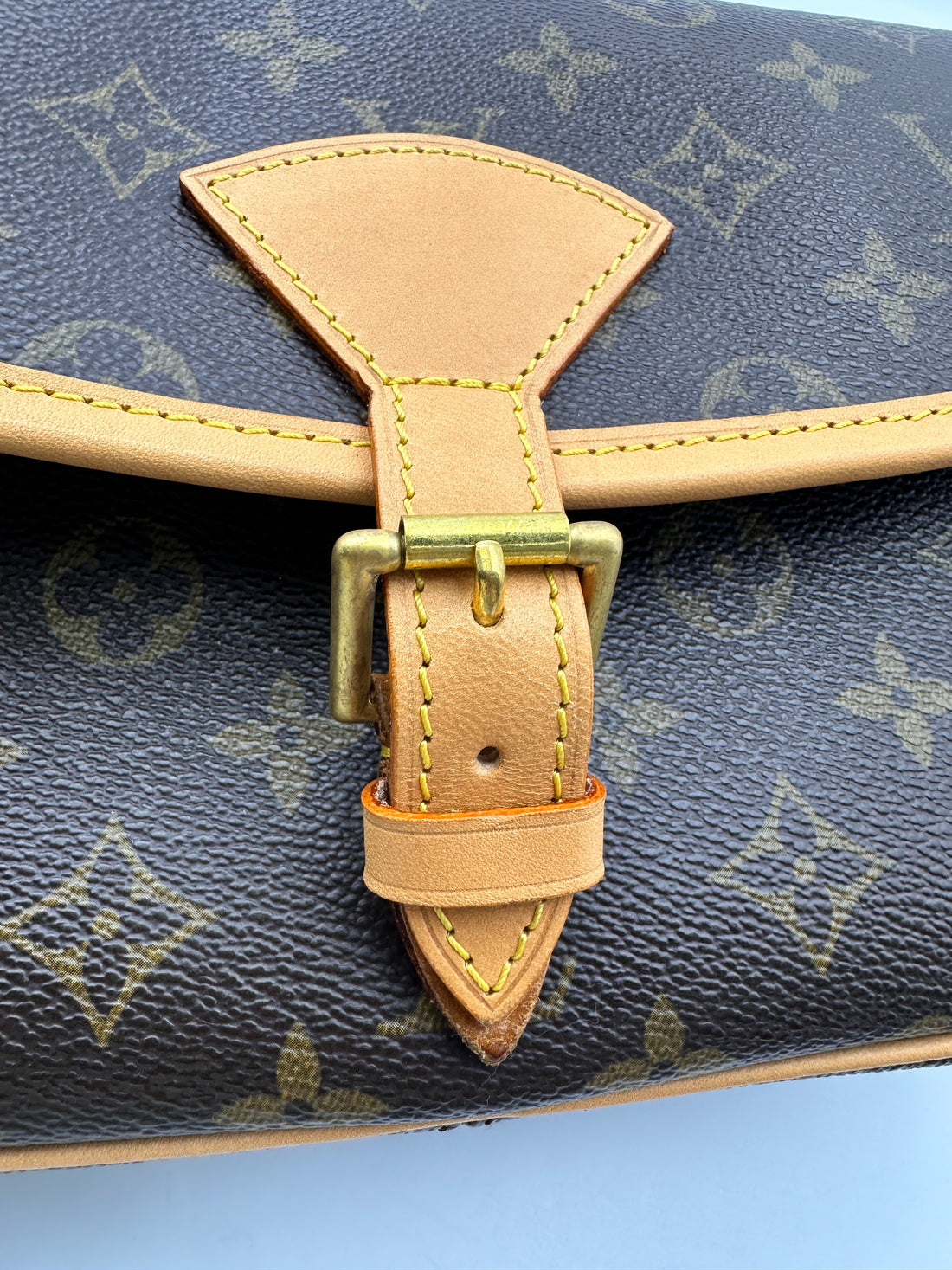 Louis Vuitton Sologne Monogram Canvas Shoulder Bag LV2561