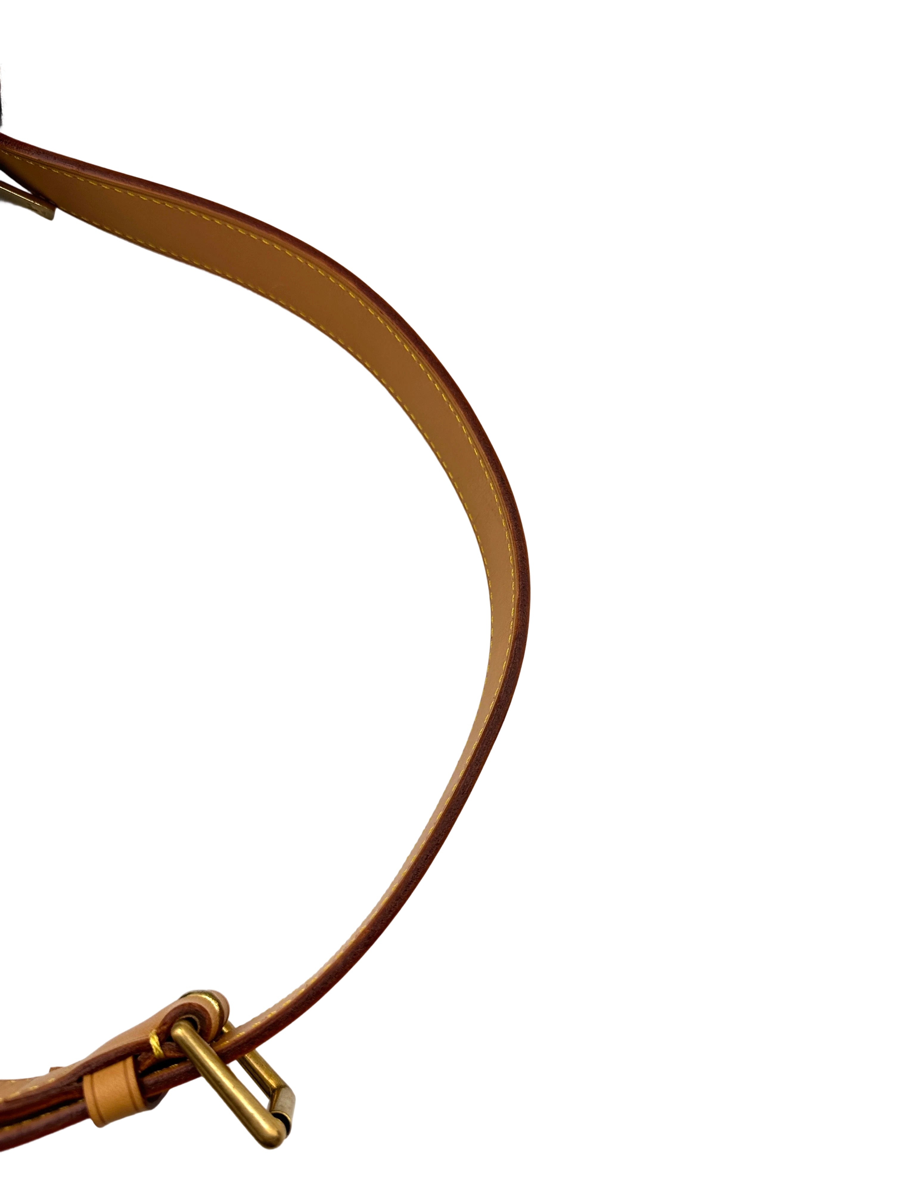 Louis Vuitton Croissant Monogram Canvas Shoulder Bag LV2574