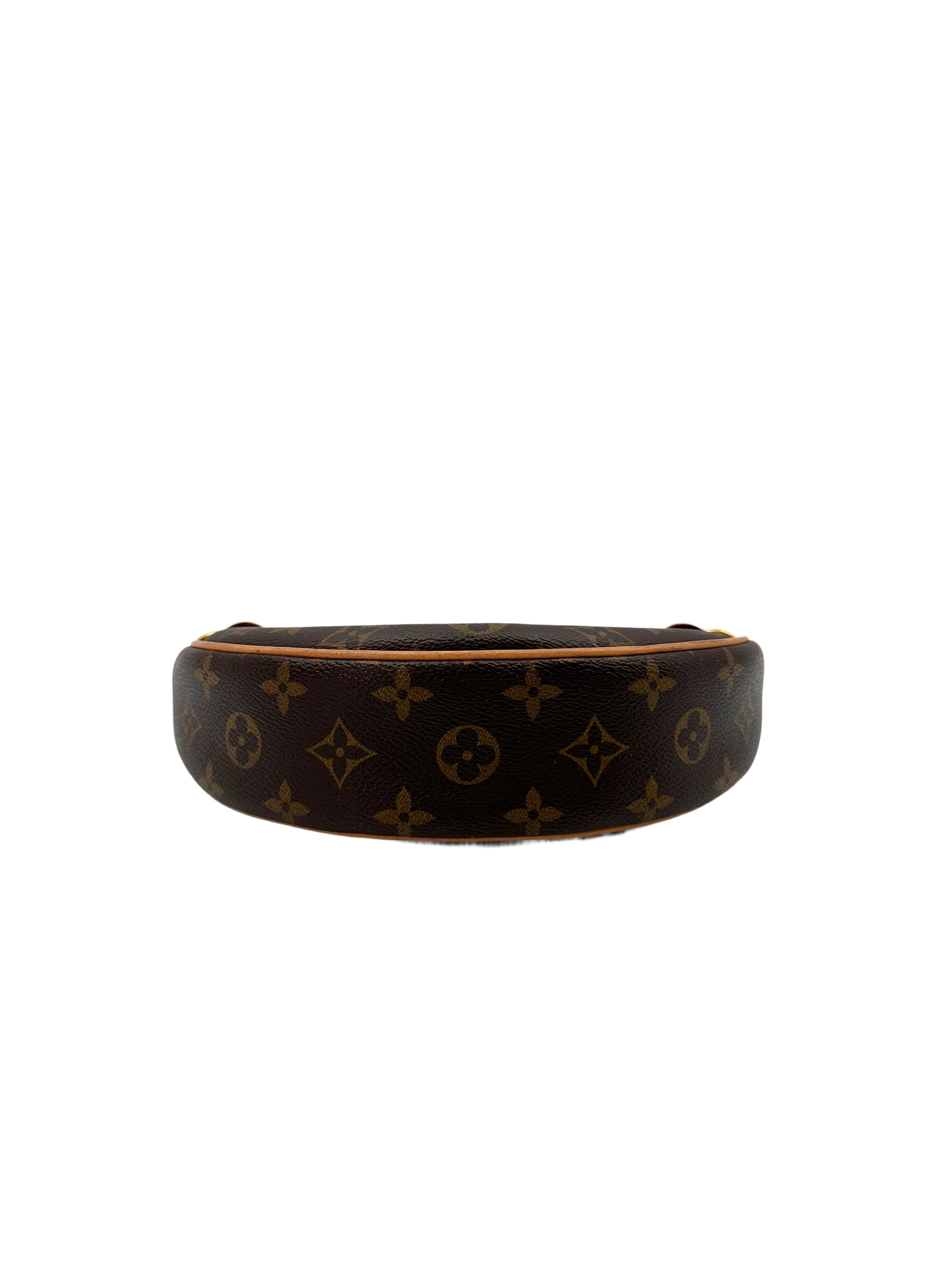 Louis Vuitton Loop Monogram Canvas Shoulder Bag LV2576