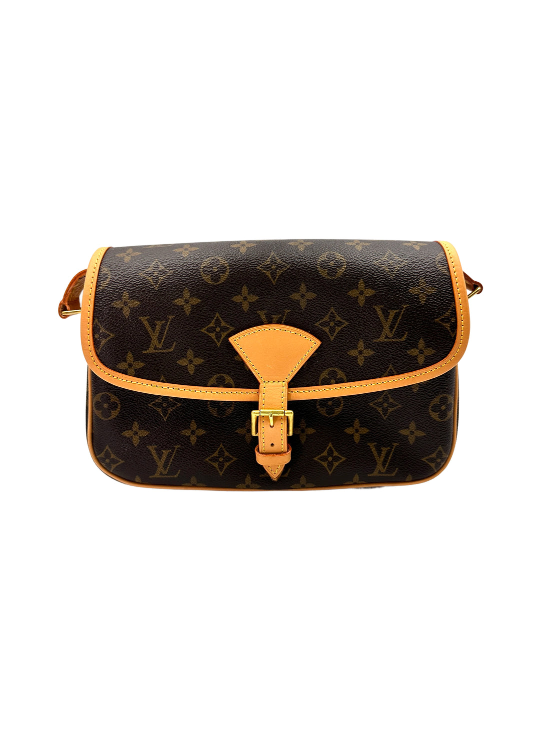 Louis Vuitton Sologne Monogram Canvas Shoulder Bag LV2578