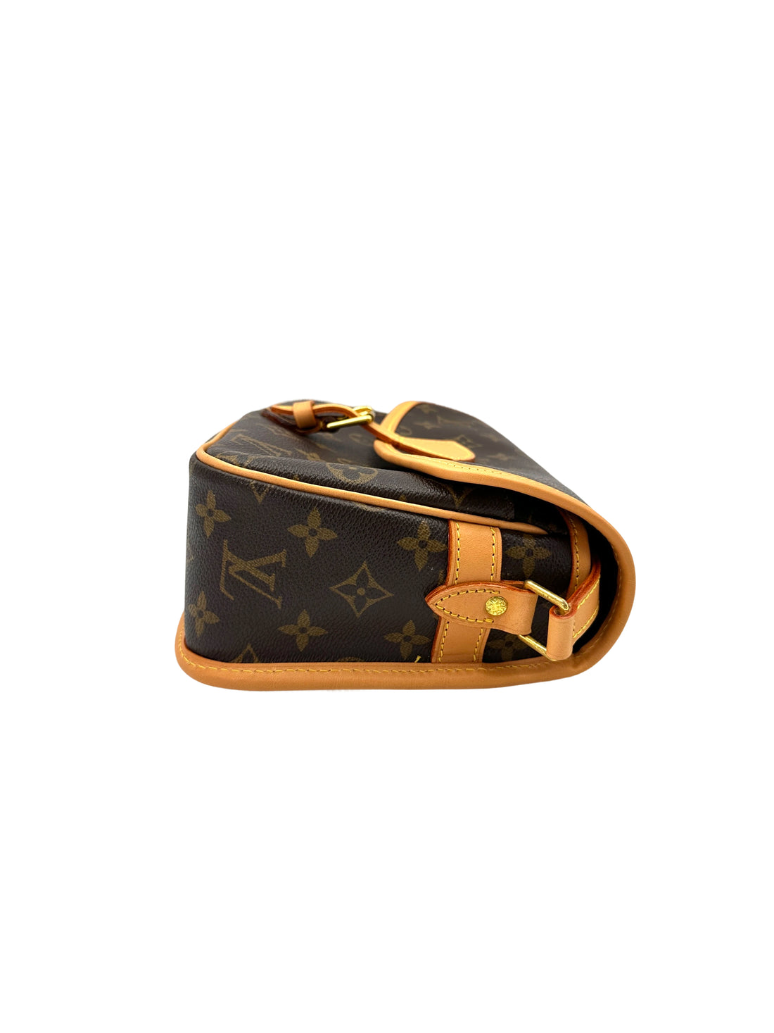 Louis Vuitton Sologne Monogram Canvas Shoulder Bag LV2578