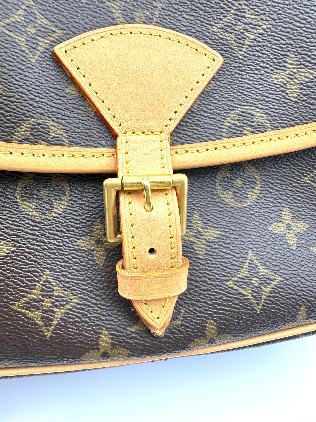 Louis Vuitton Sologne Monogram Canvas Shoulder Bag LV2578