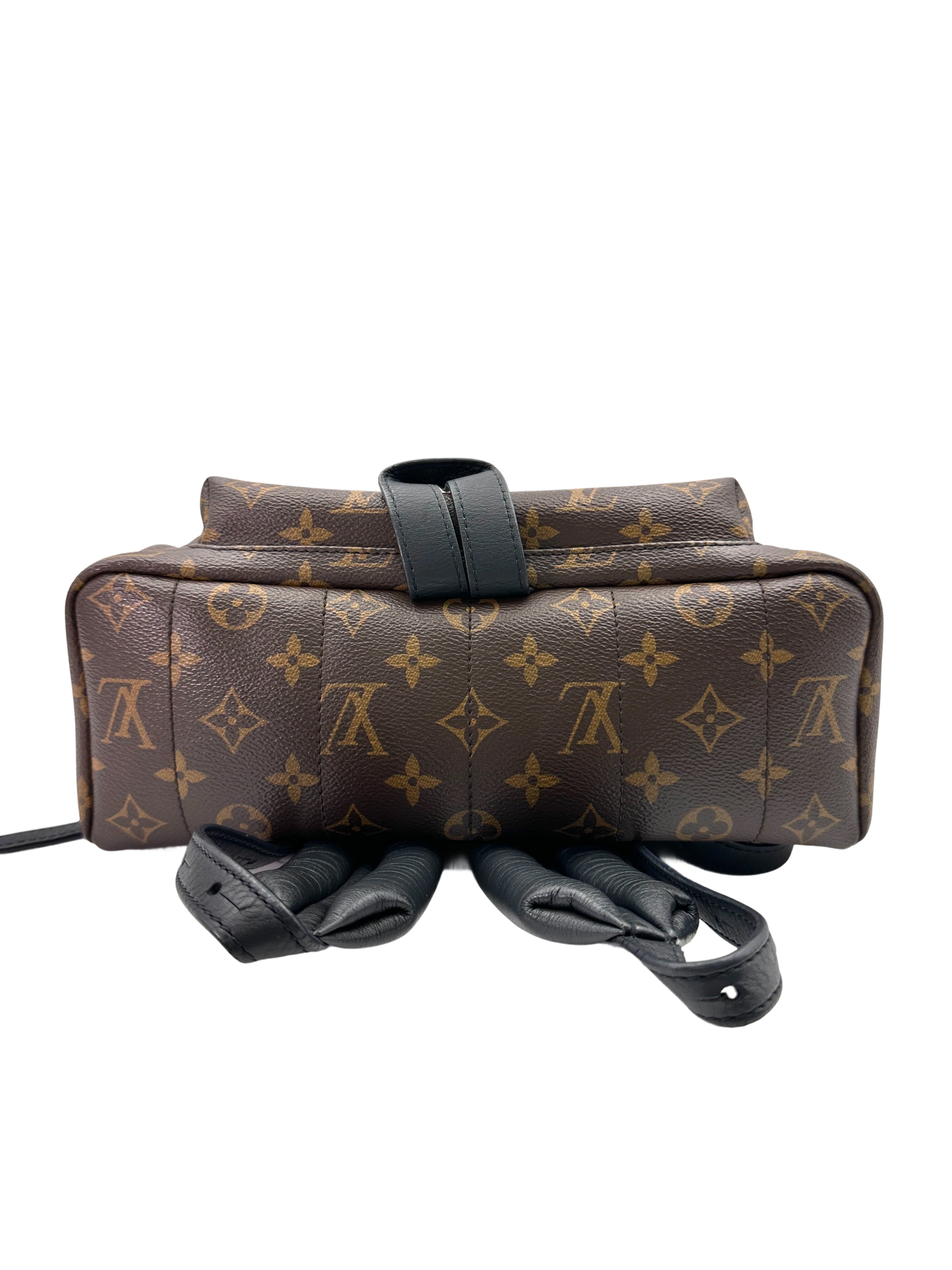 Louis Vuitton Palm Springs Monogram Canvas Backpack LV2582