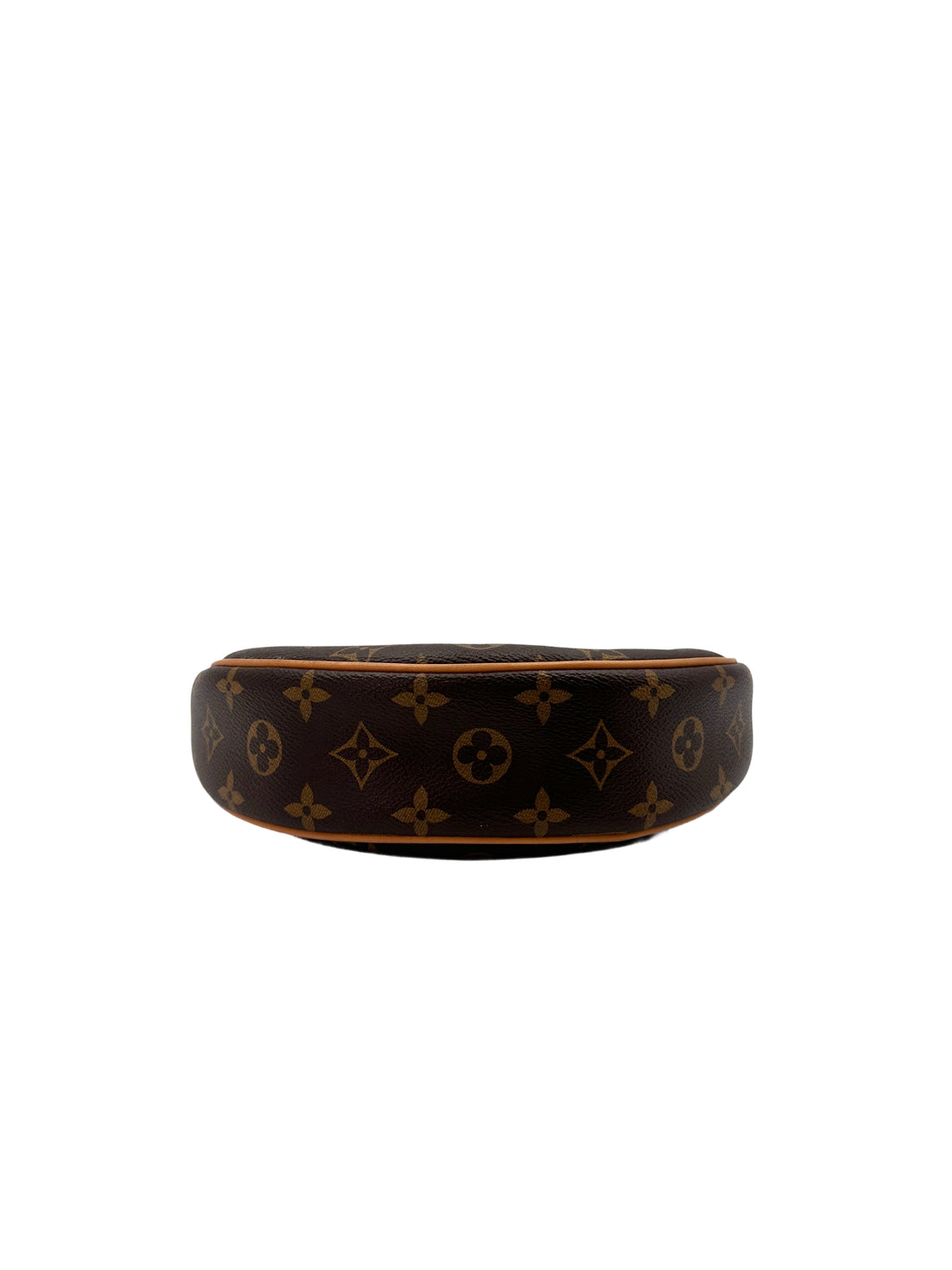 Louis Vuitton Loop Monogram Canvas Shoulder Bag LV2583