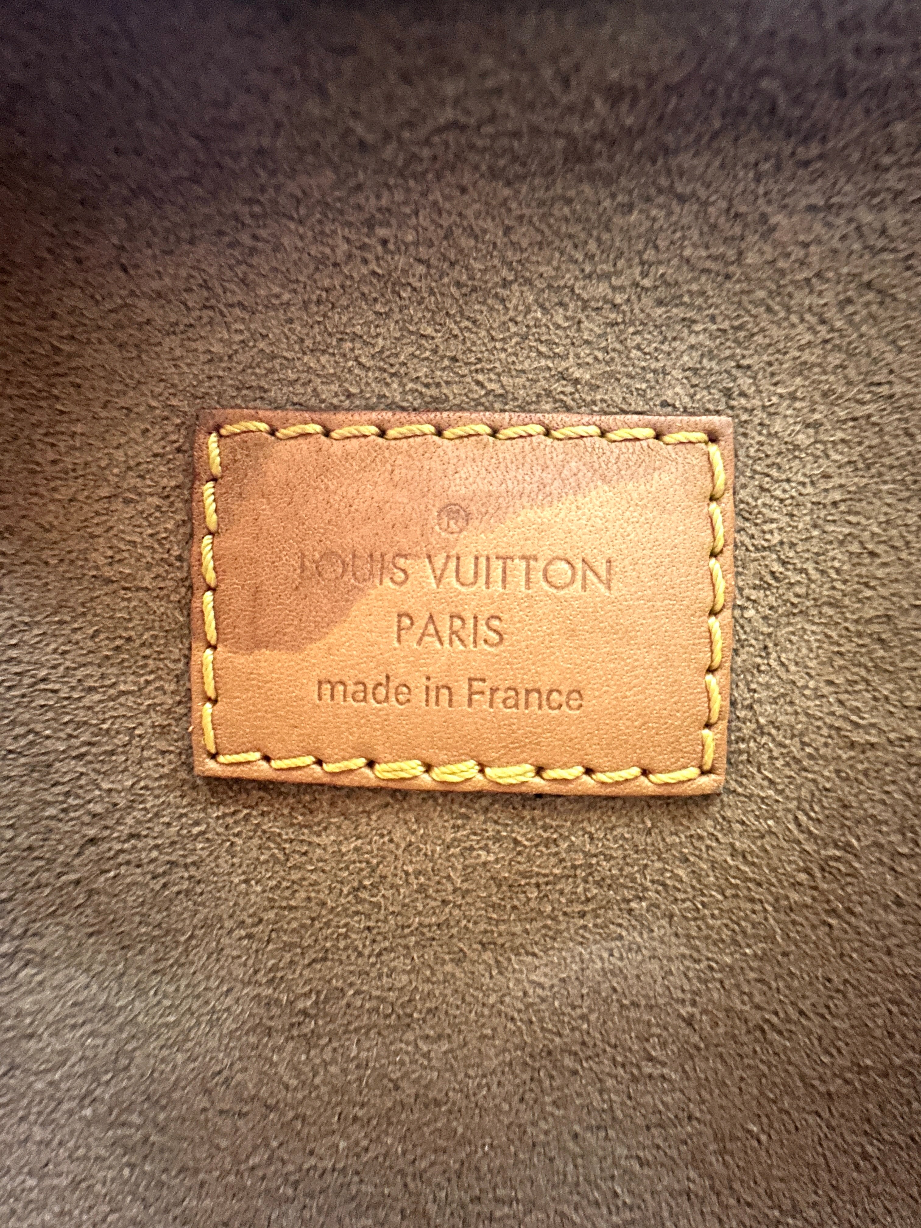 Louis Vuitton Loop Monogram Canvas Shoulder Bag LV2583