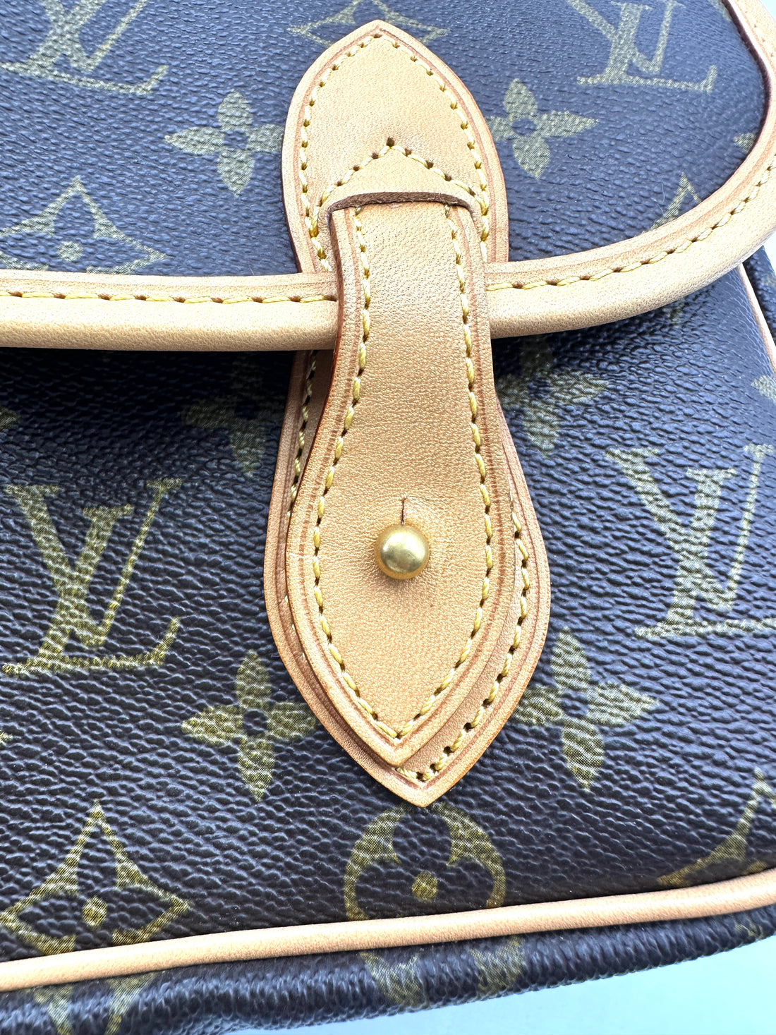 Louis Vuitton Sac Gibeciere Monogram Canvas Shoulder Bag LV2575