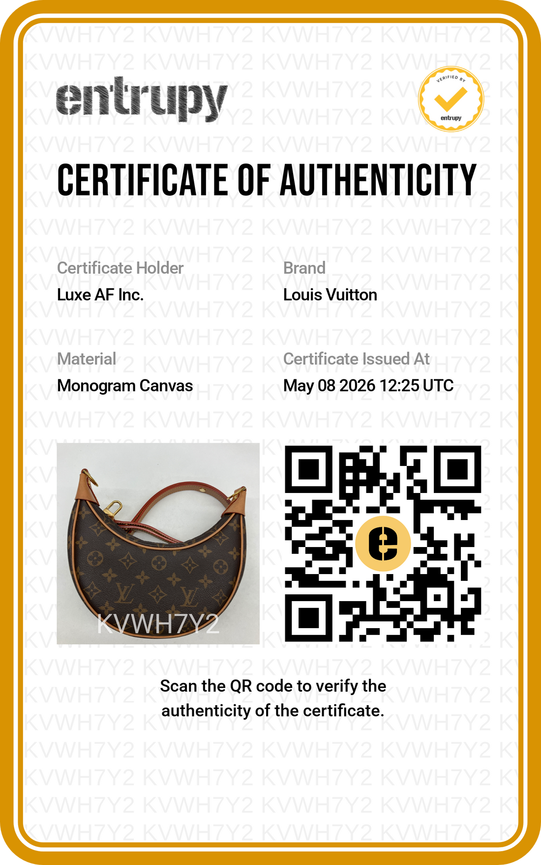 Louis Vuitton Loop Monogram Canvas Shoulder Bag LV2583