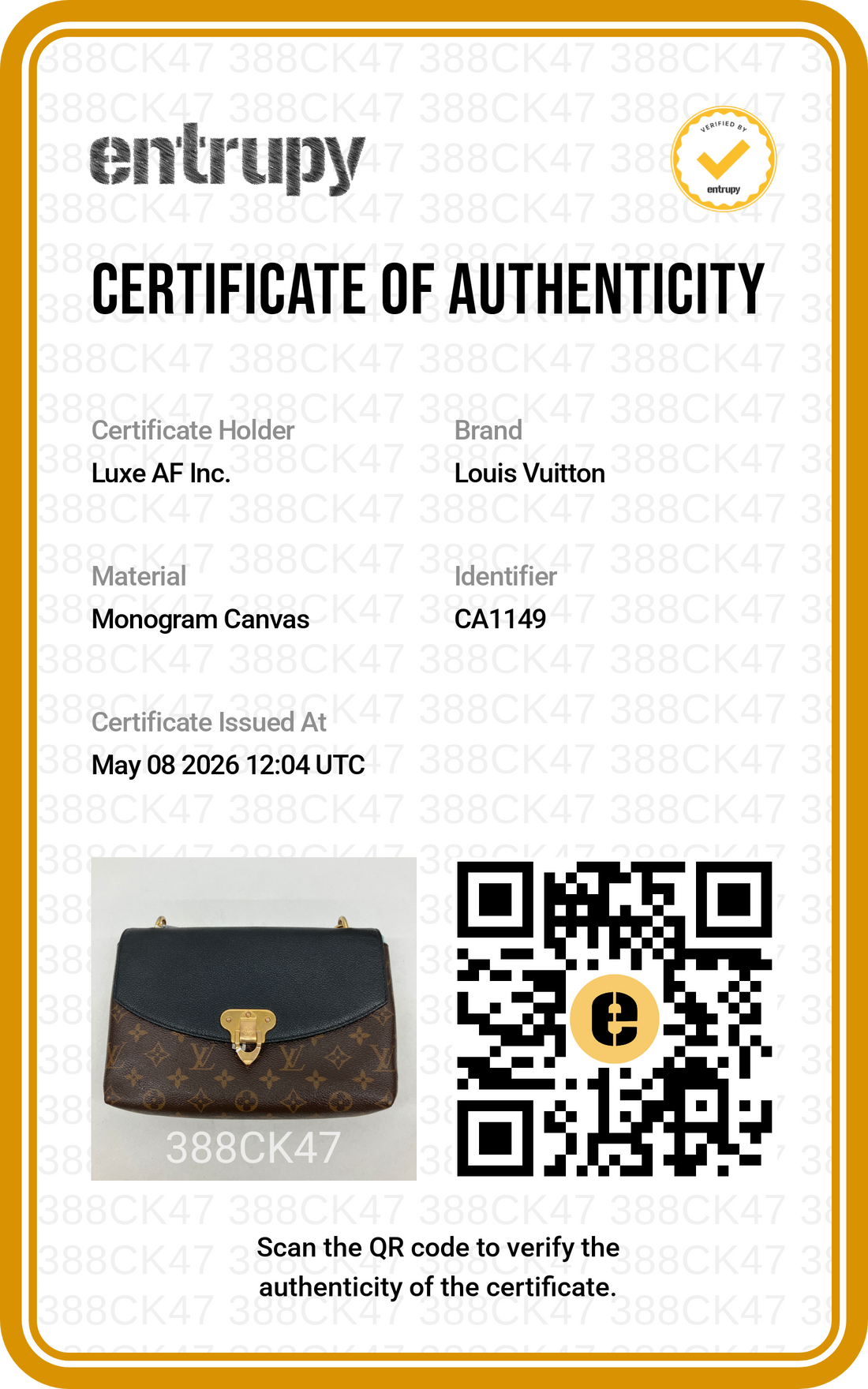 Louis Vuitton Saint Placide Monogram Canvas & Black Leather Chain Shoulder Bag LV2588