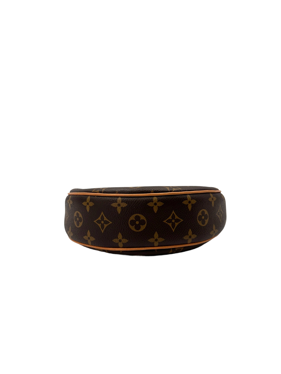 Louis Vuitton Loop Monogram Canvas Shoulder Bag LV2584