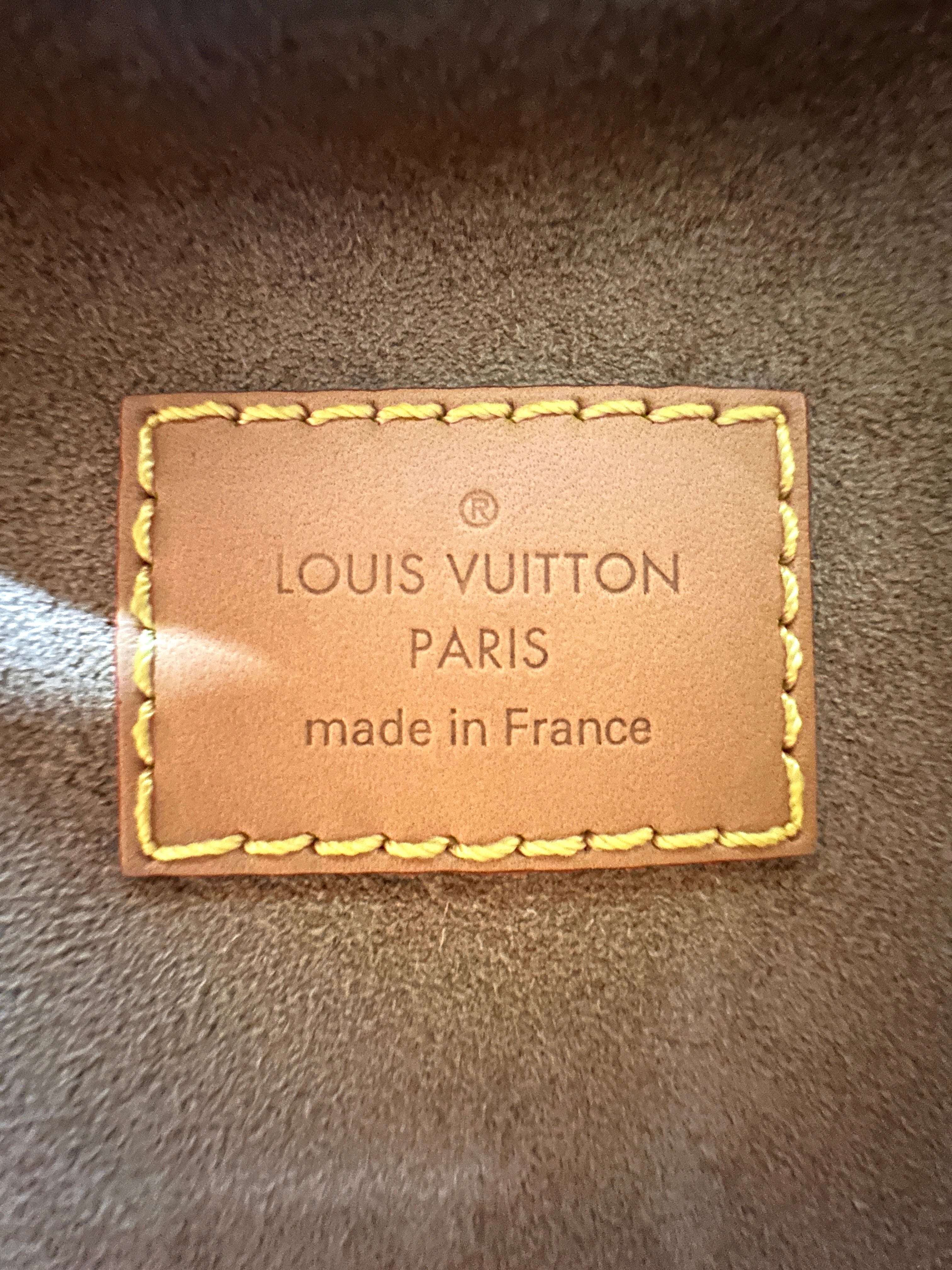 Louis Vuitton Loop Monogram Canvas Shoulder Bag LV2584