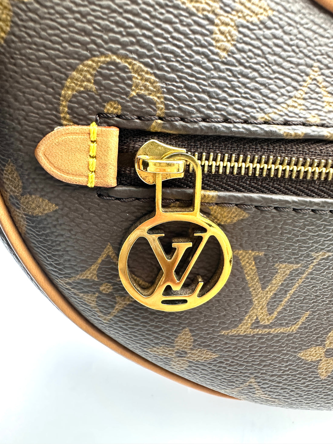 Louis Vuitton Loop Monogram Canvas Shoulder Bag LV2585
