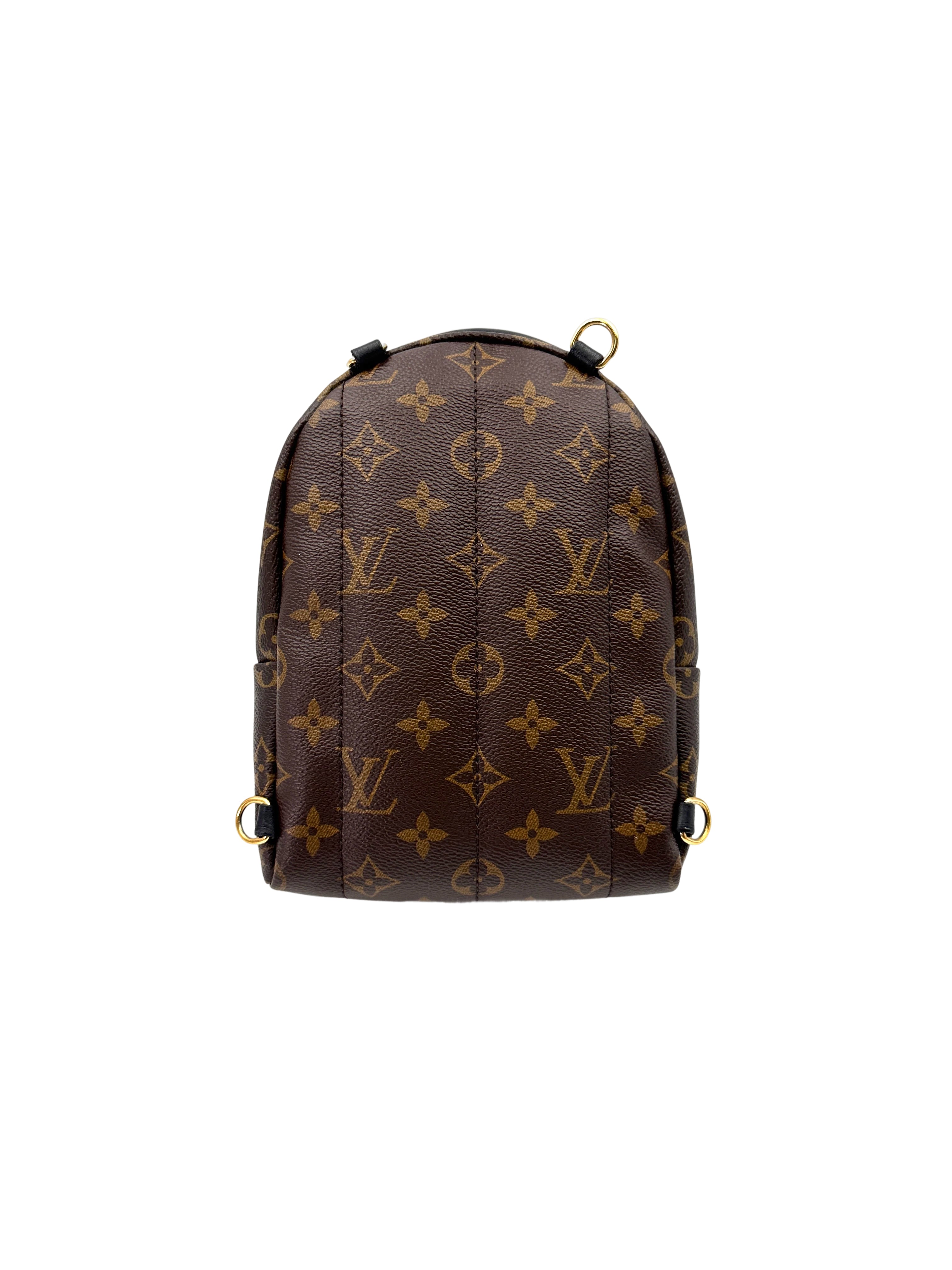Louis Vuitton World Tour Palm Springs Monogram Canvas Backpack LV2591