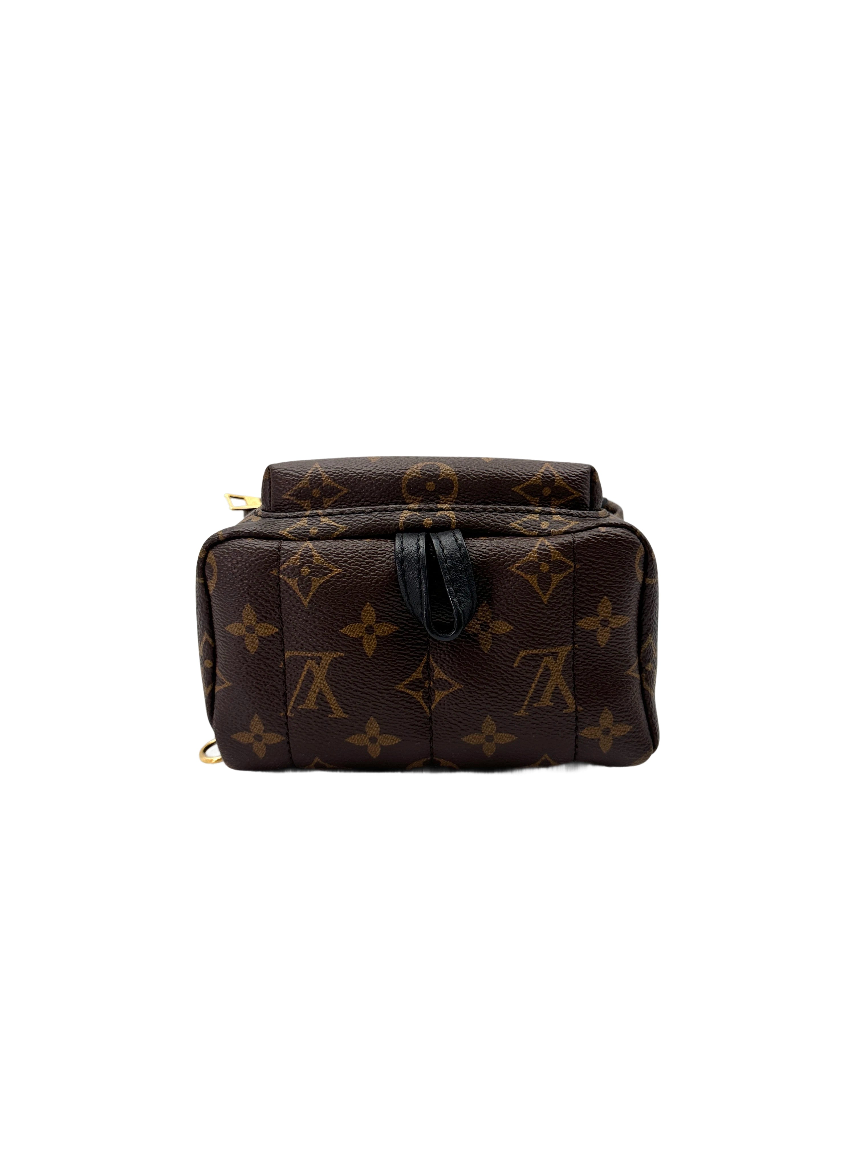 Louis Vuitton World Tour Palm Springs Monogram Canvas Backpack LV2591