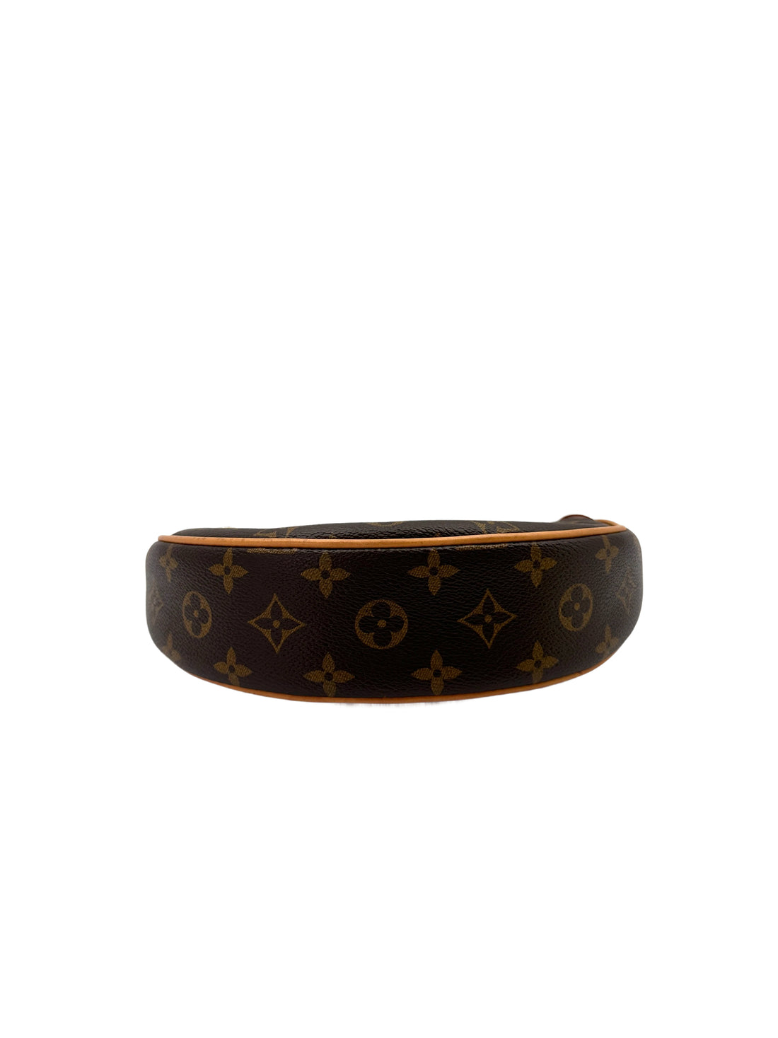 Louis Vuitton Loop Monogram Canvas Shoulder Bag LV2592