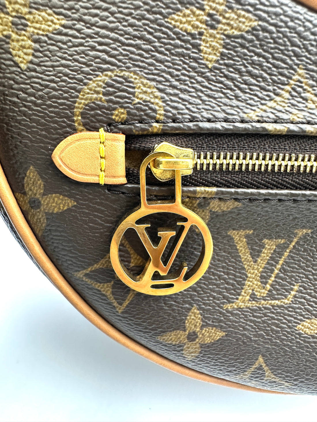 Louis Vuitton Loop Monogram Canvas Shoulder Bag LV2592