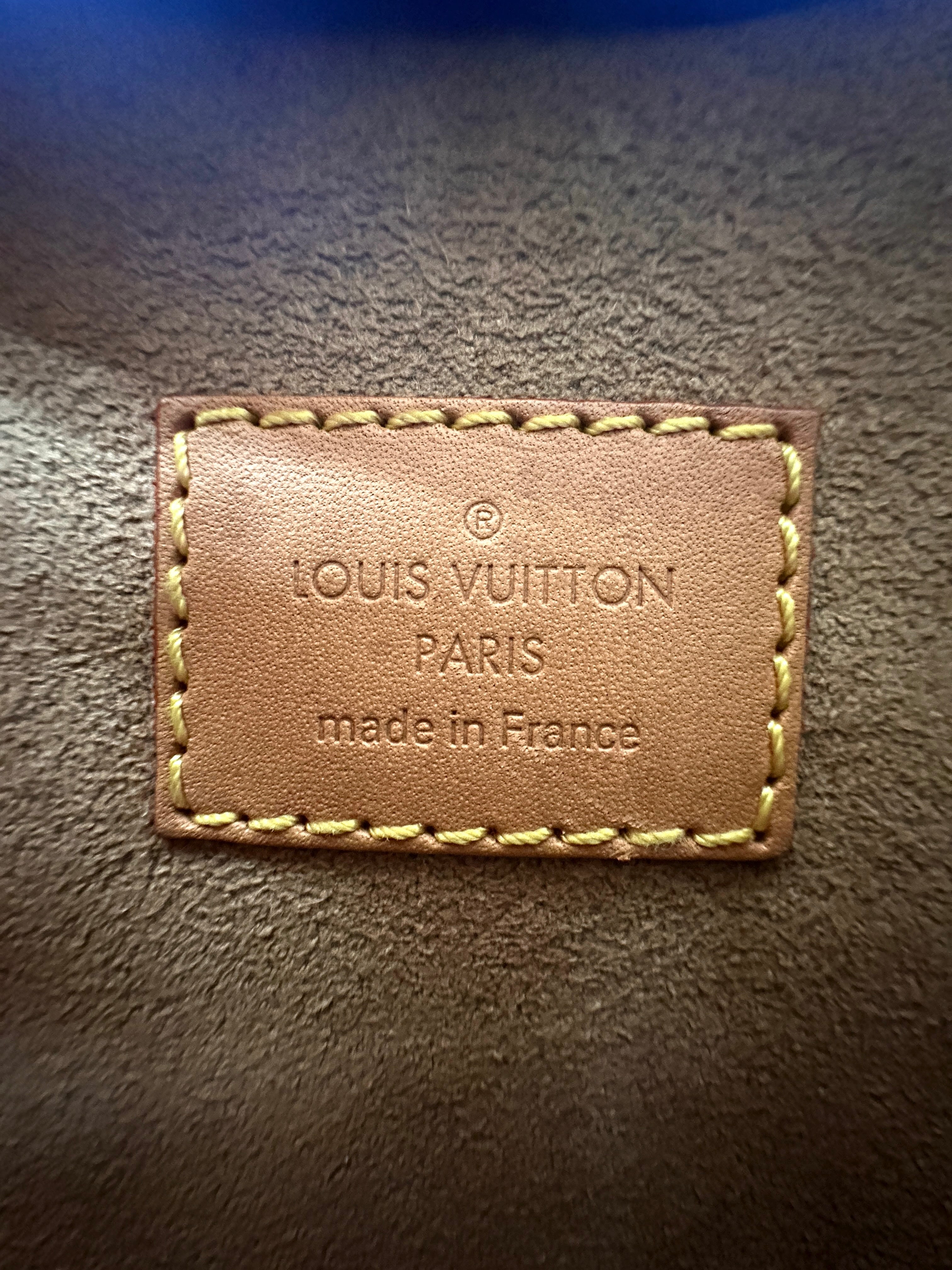 Louis Vuitton Loop Monogram Canvas Shoulder Bag LV2592