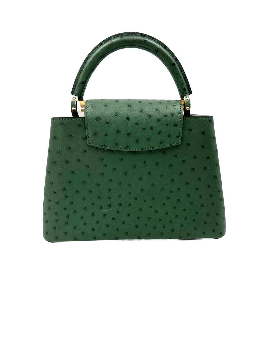 Louis Vuitton Capucines BB Green Ostrich Handle Bag IRIS213